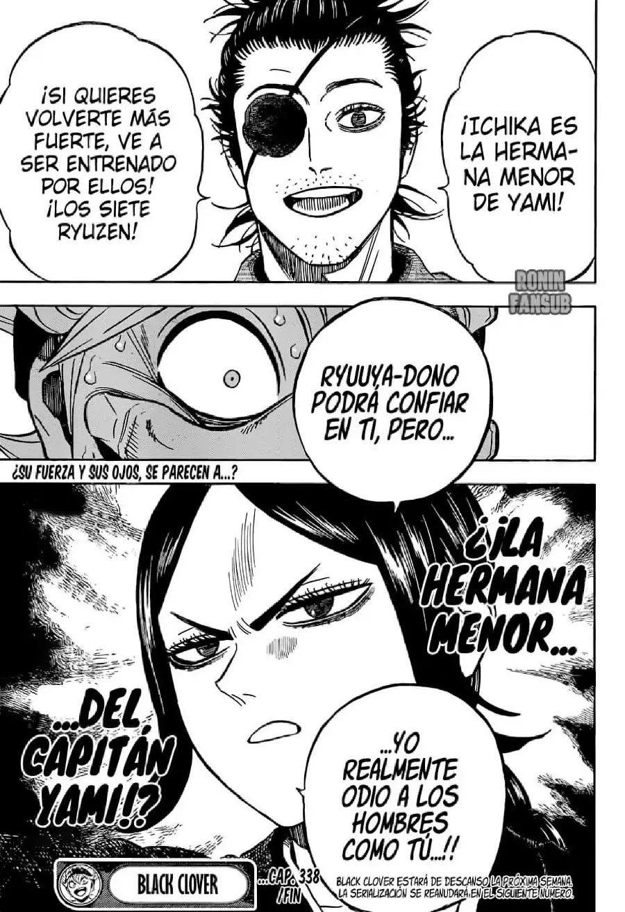 Black Clover capítulo 338, página 17