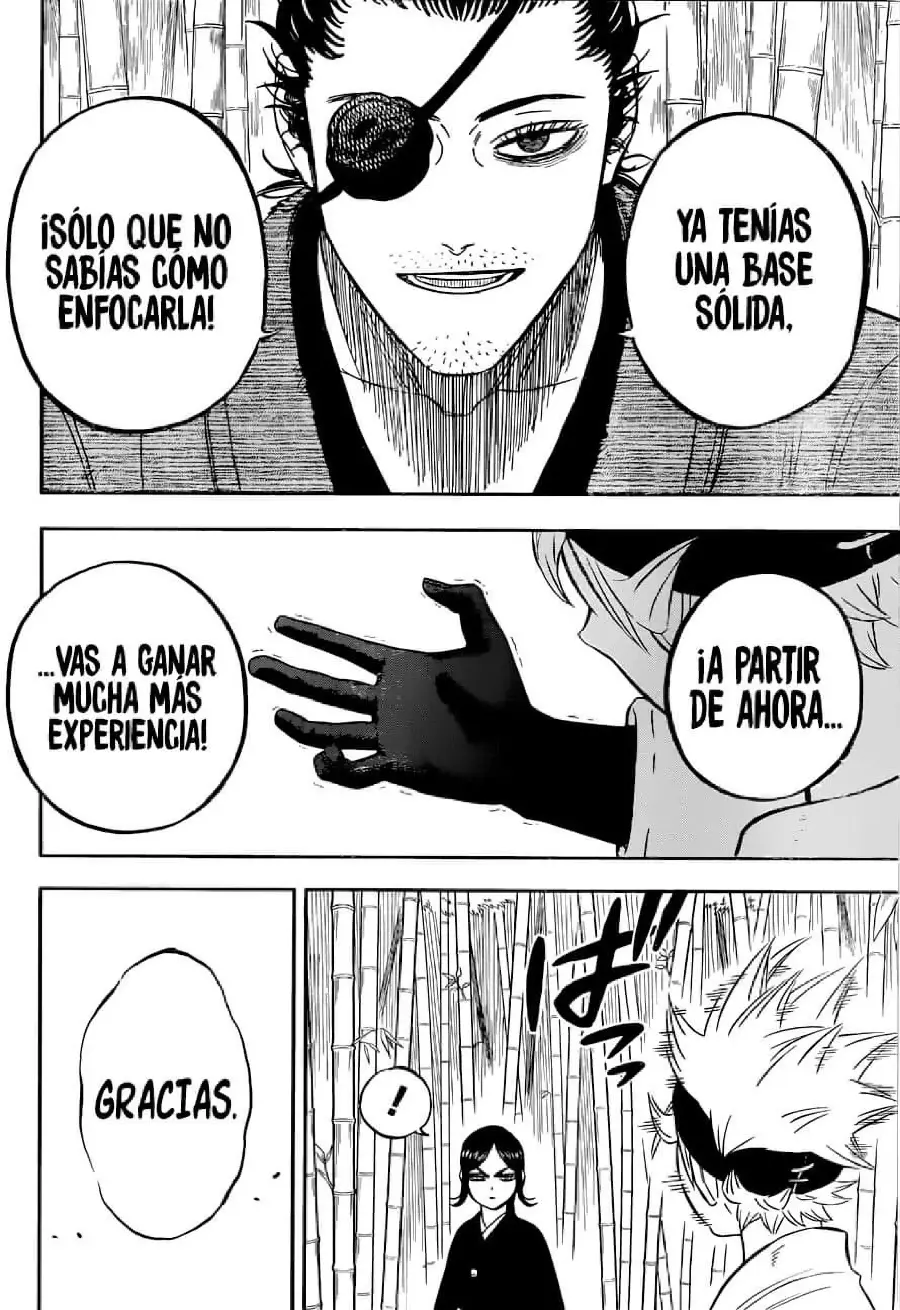Black Clover capítulo 339, página 17
