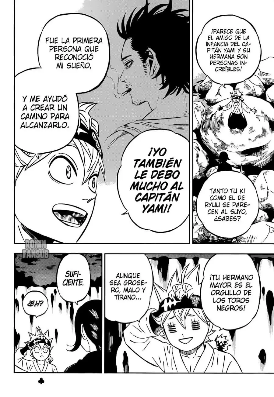 Black Clover capítulo 341, página 15