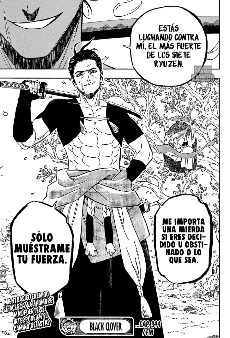 Black Clover capítulo 344, página 15