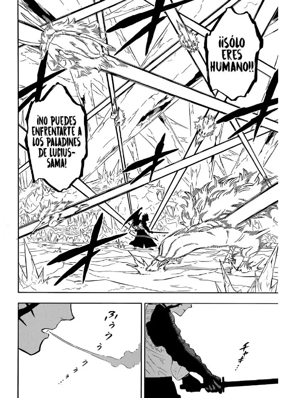 Black Clover capítulo 348, página 13