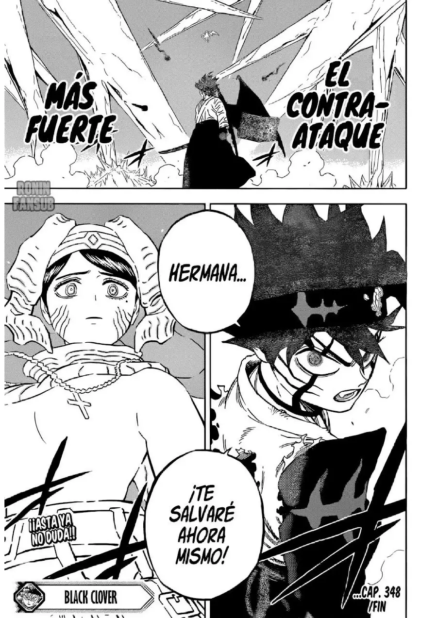 Black Clover capítulo 348, página 17