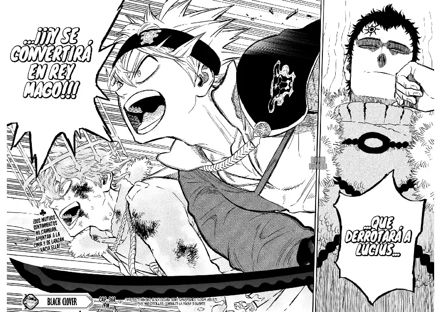 Black Clover capítulo 368, página 14