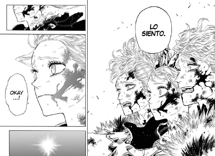 Black Clover capítulo 373, página 13
