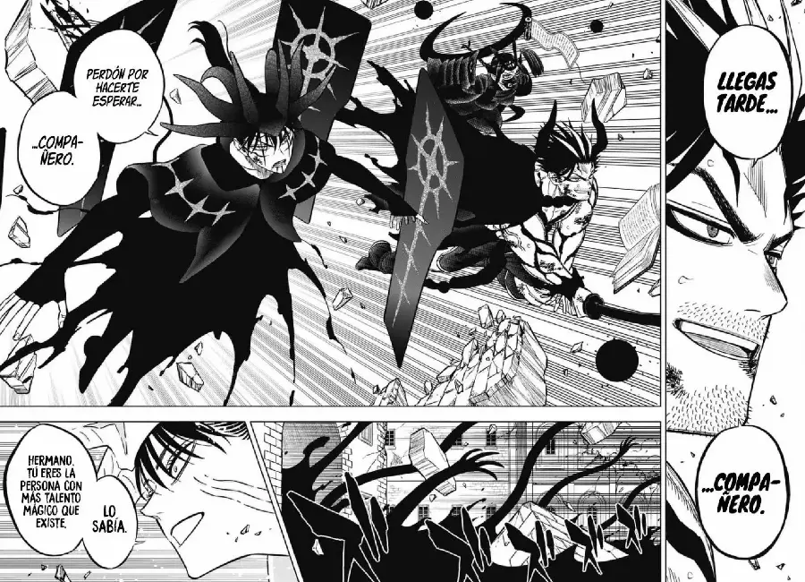Black Clover capítulo 376, página 13