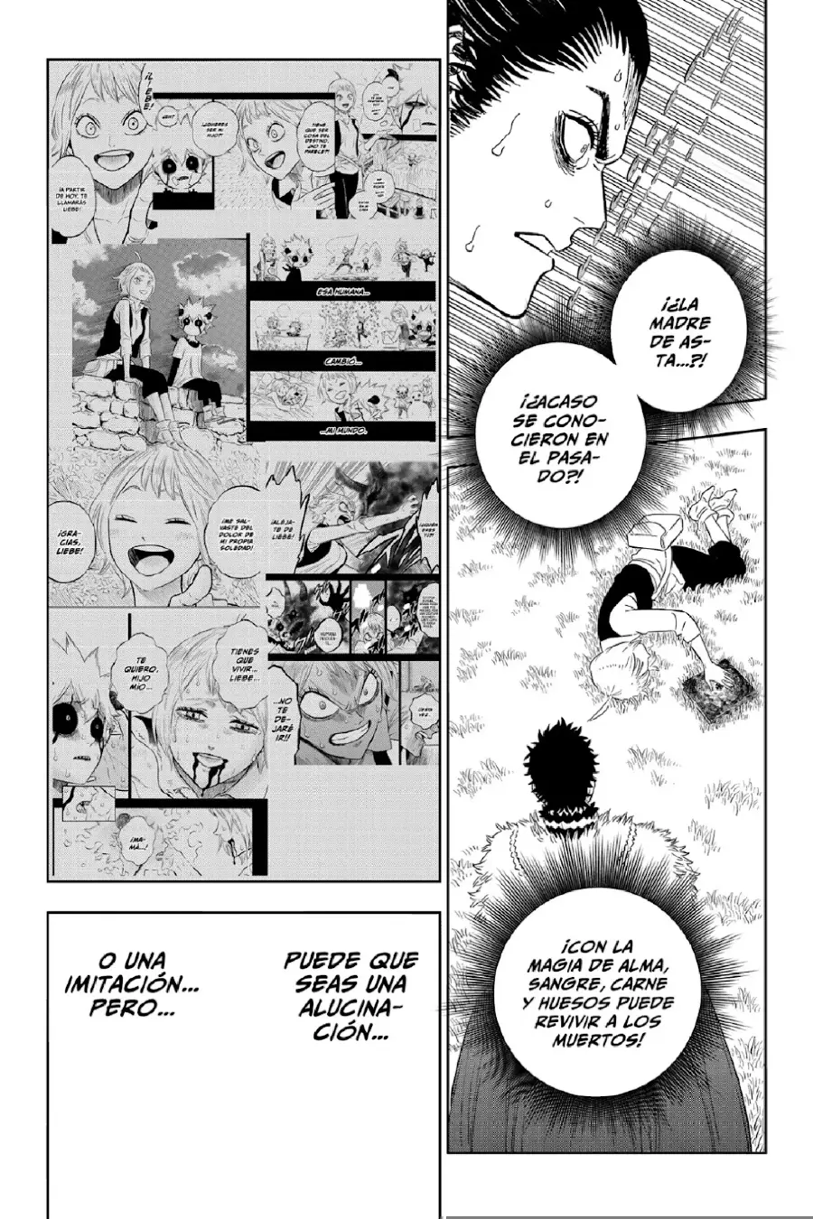 Black Clover capítulo 379, página 21