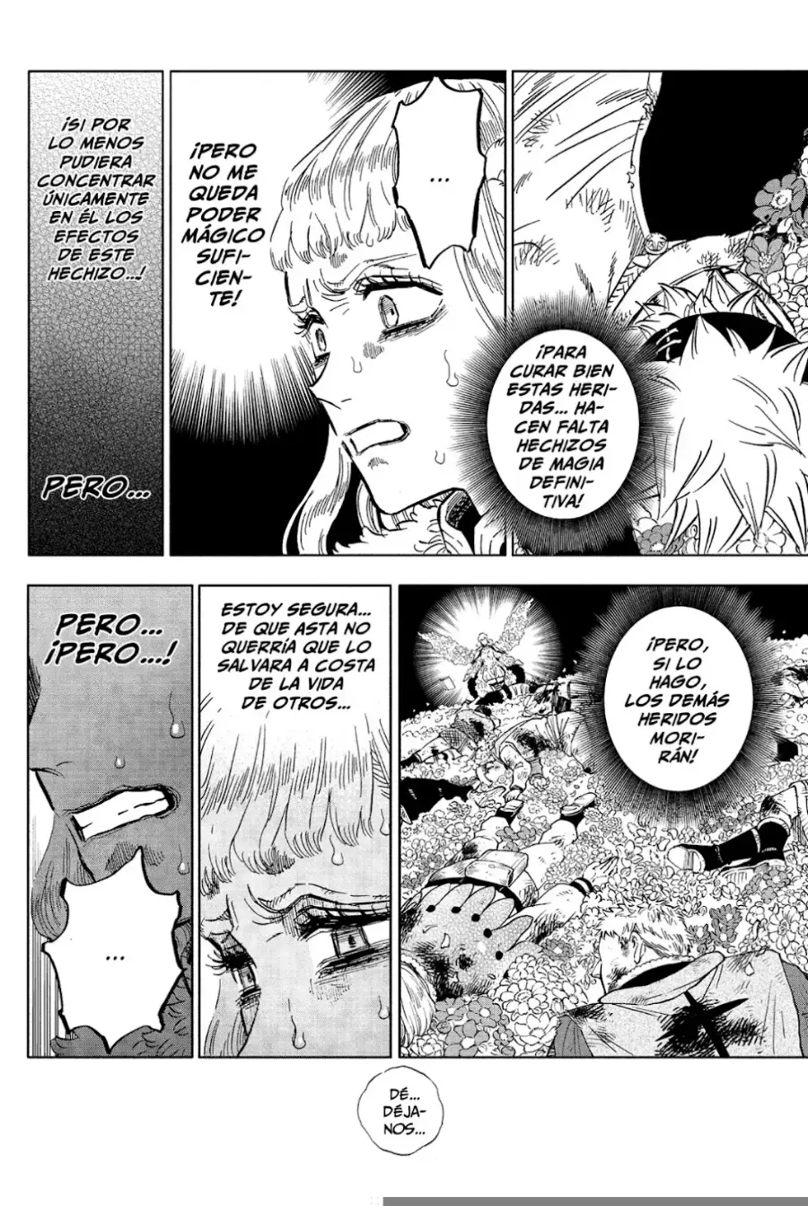 Black Clover capítulo 381, página 13