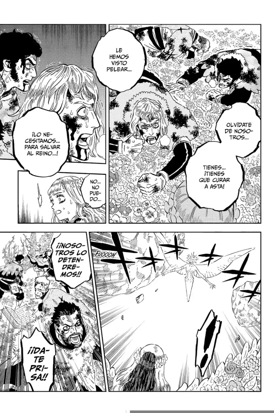 Black Clover capítulo 381, página 14