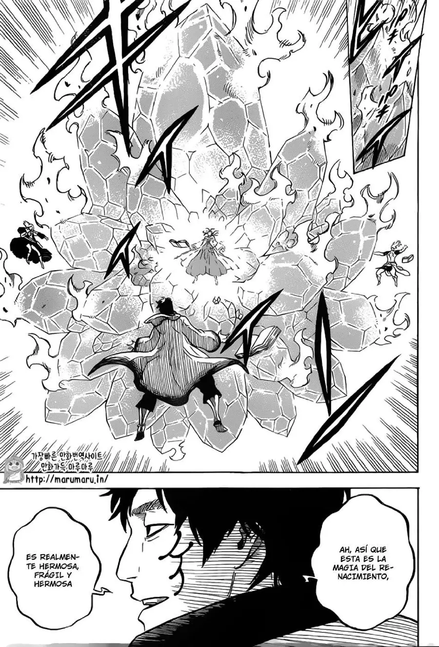 Black Clover capítulo 53, página 14