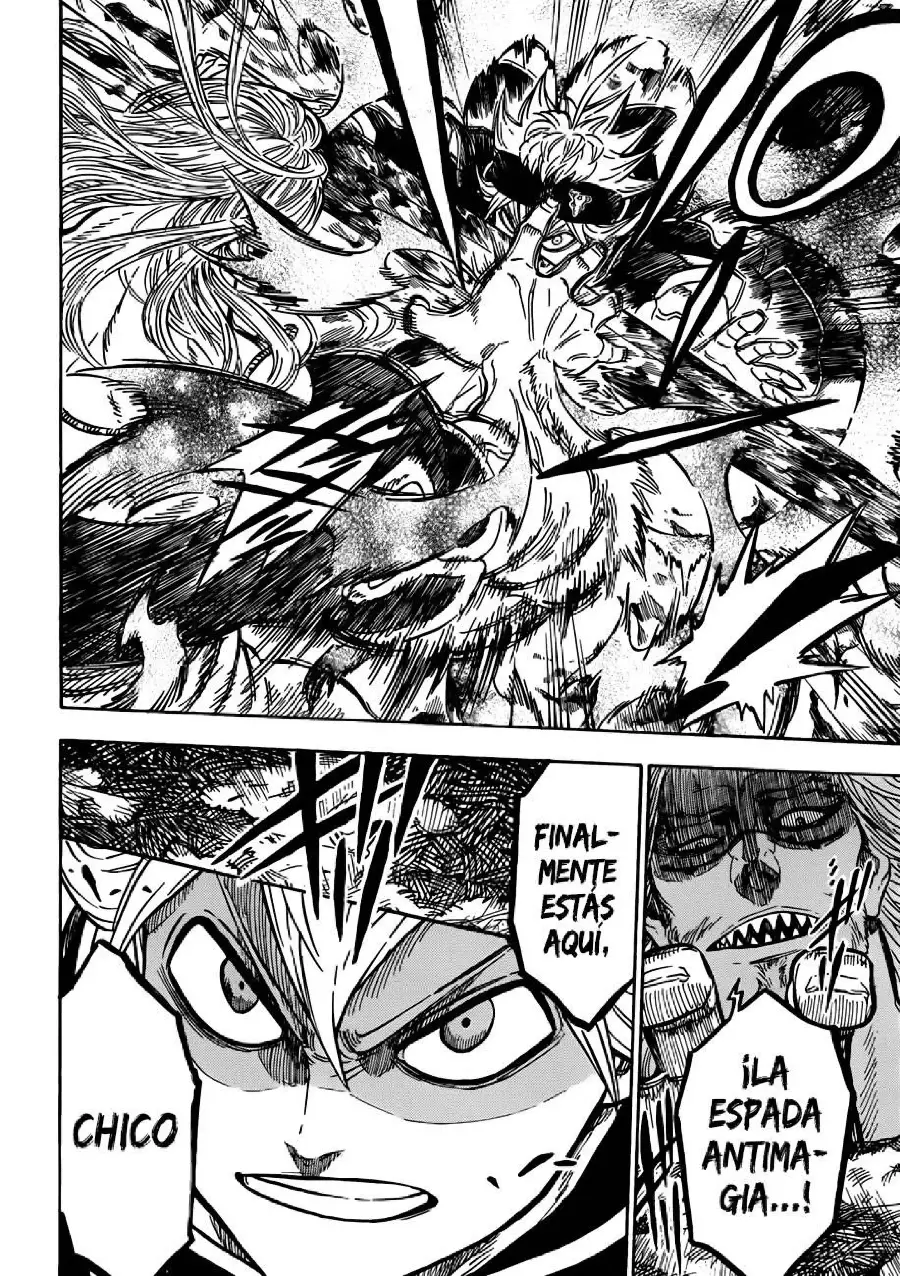 Black Clover capítulo 64, página 17