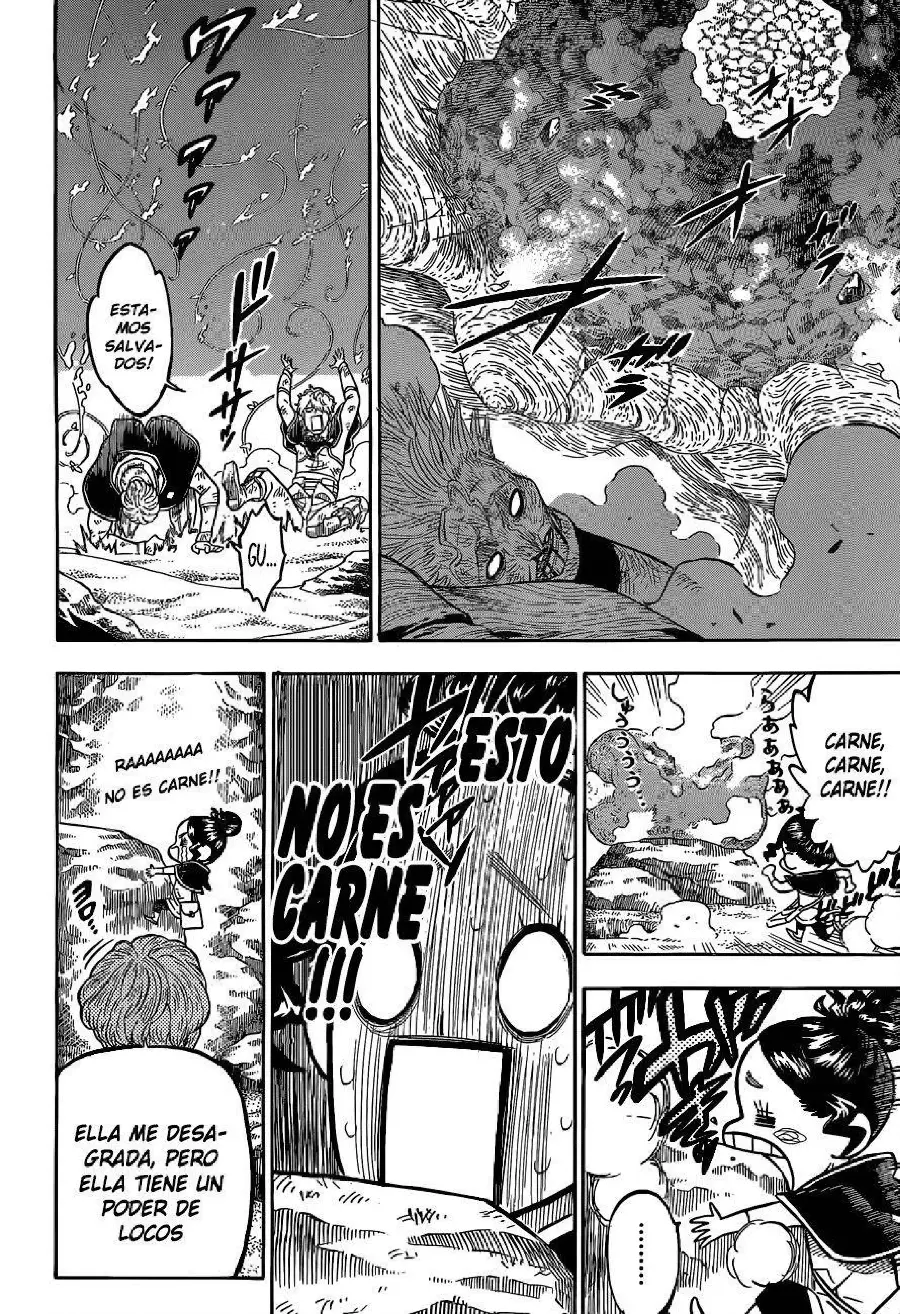 Black Clover capítulo 66, página 15