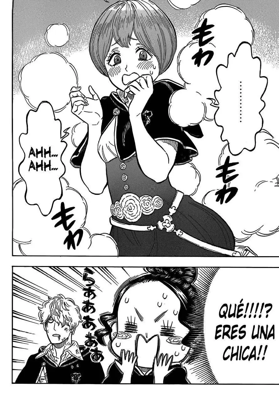 Black Clover capítulo 66, página 17