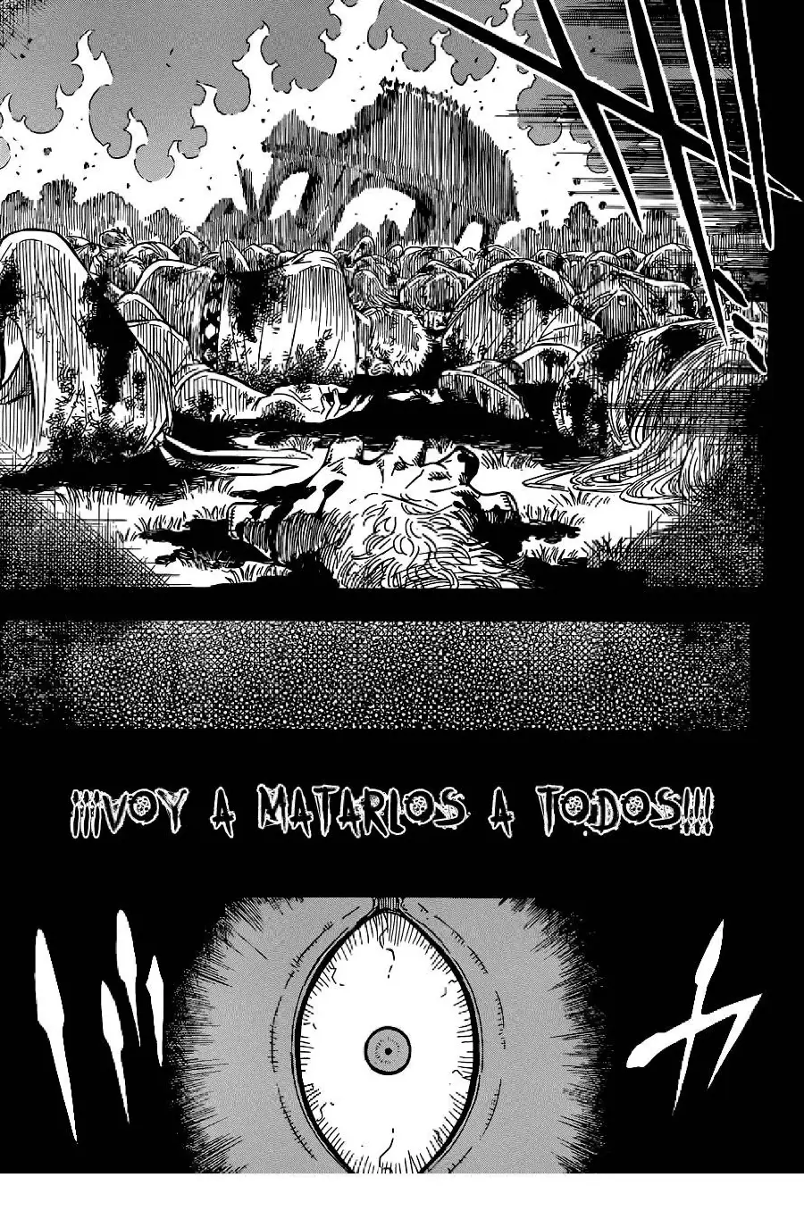 Black Clover capítulo 68, página 12