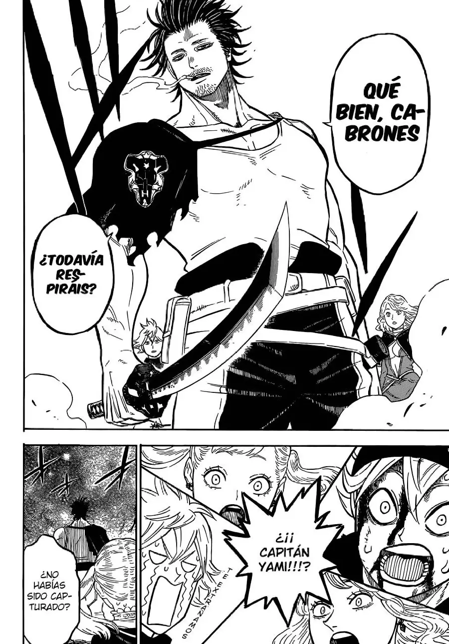 Black Clover capítulo 72, página 13