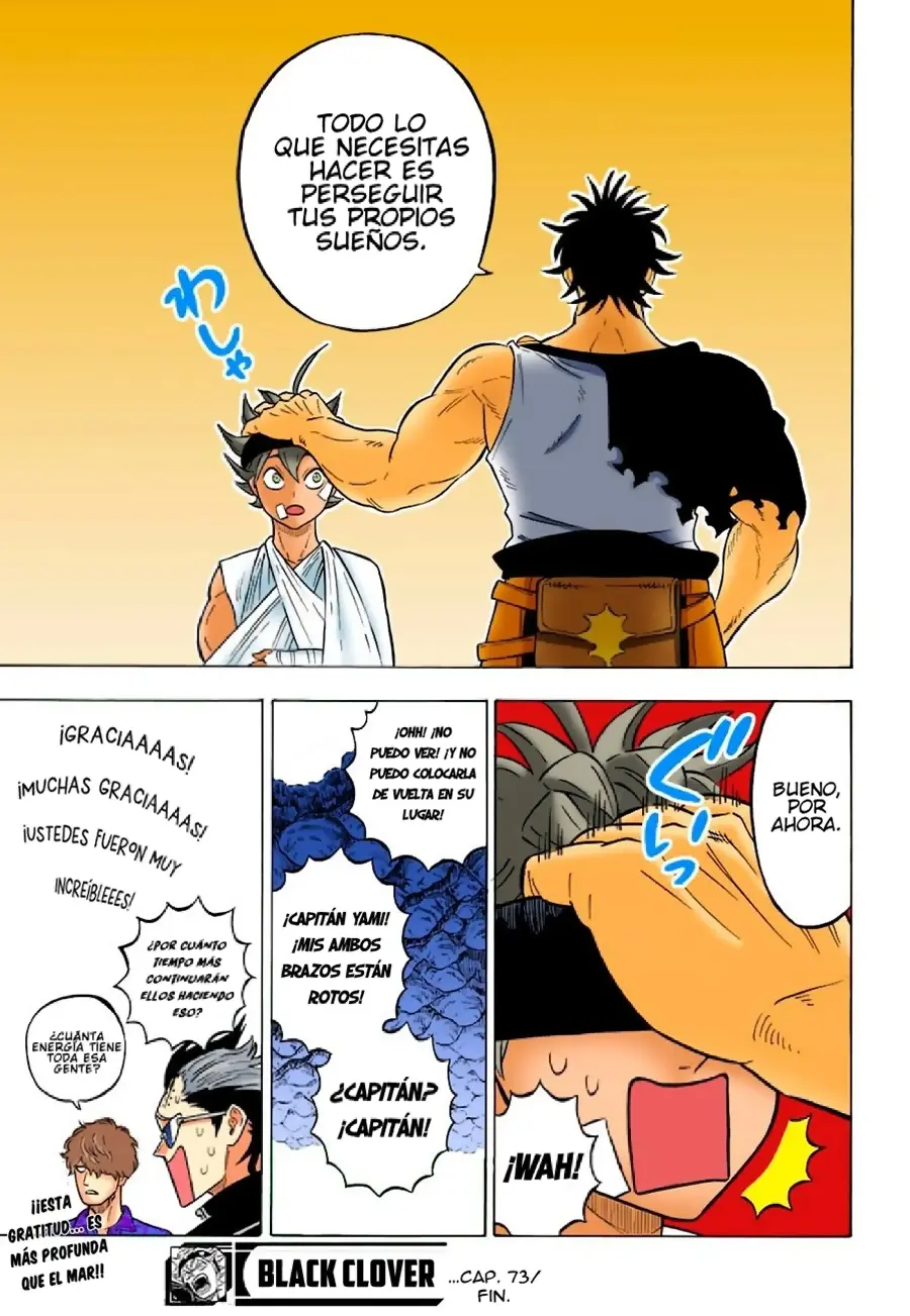 Black Clover capítulo 73, página 17