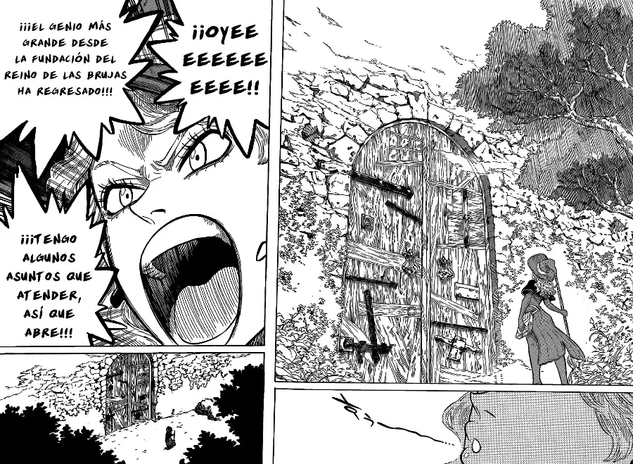 Black Clover capítulo 81, página 14