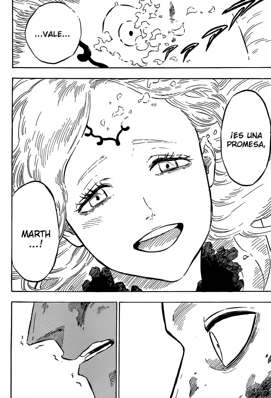 Black Clover capítulo 93, página 16