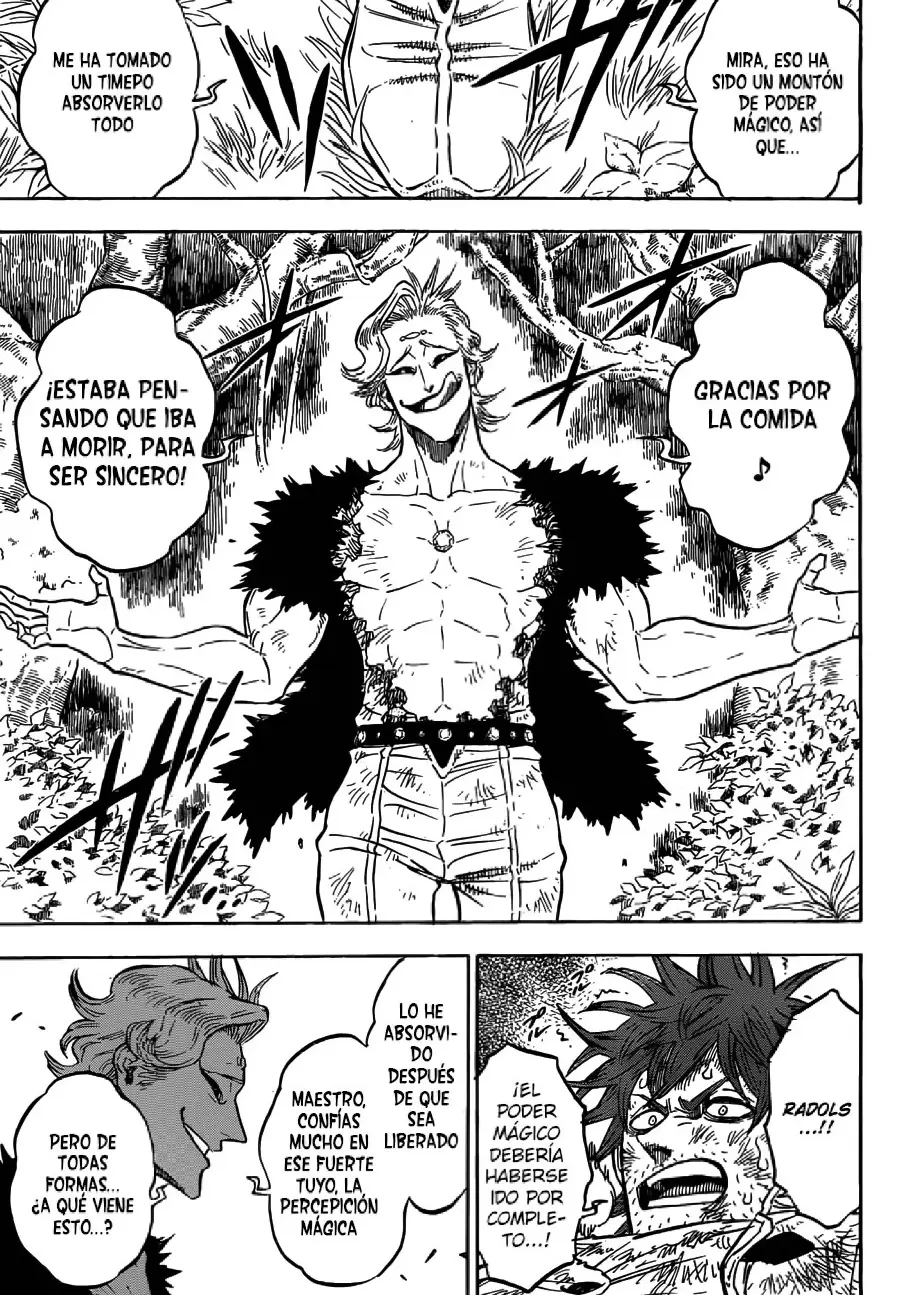 Black Clover capítulo 94, página 13