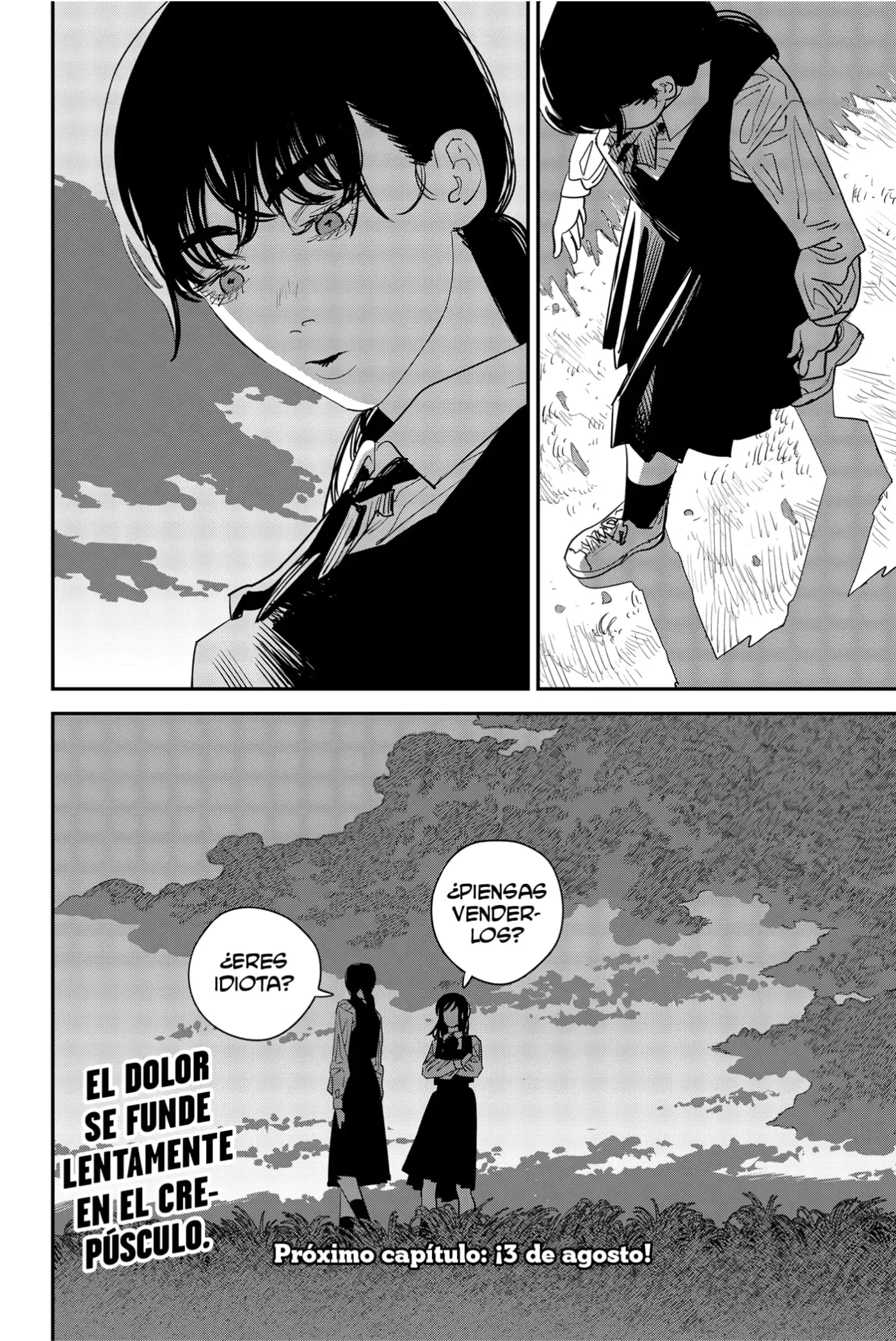 Chainsaw Man capítulo 100, página 19