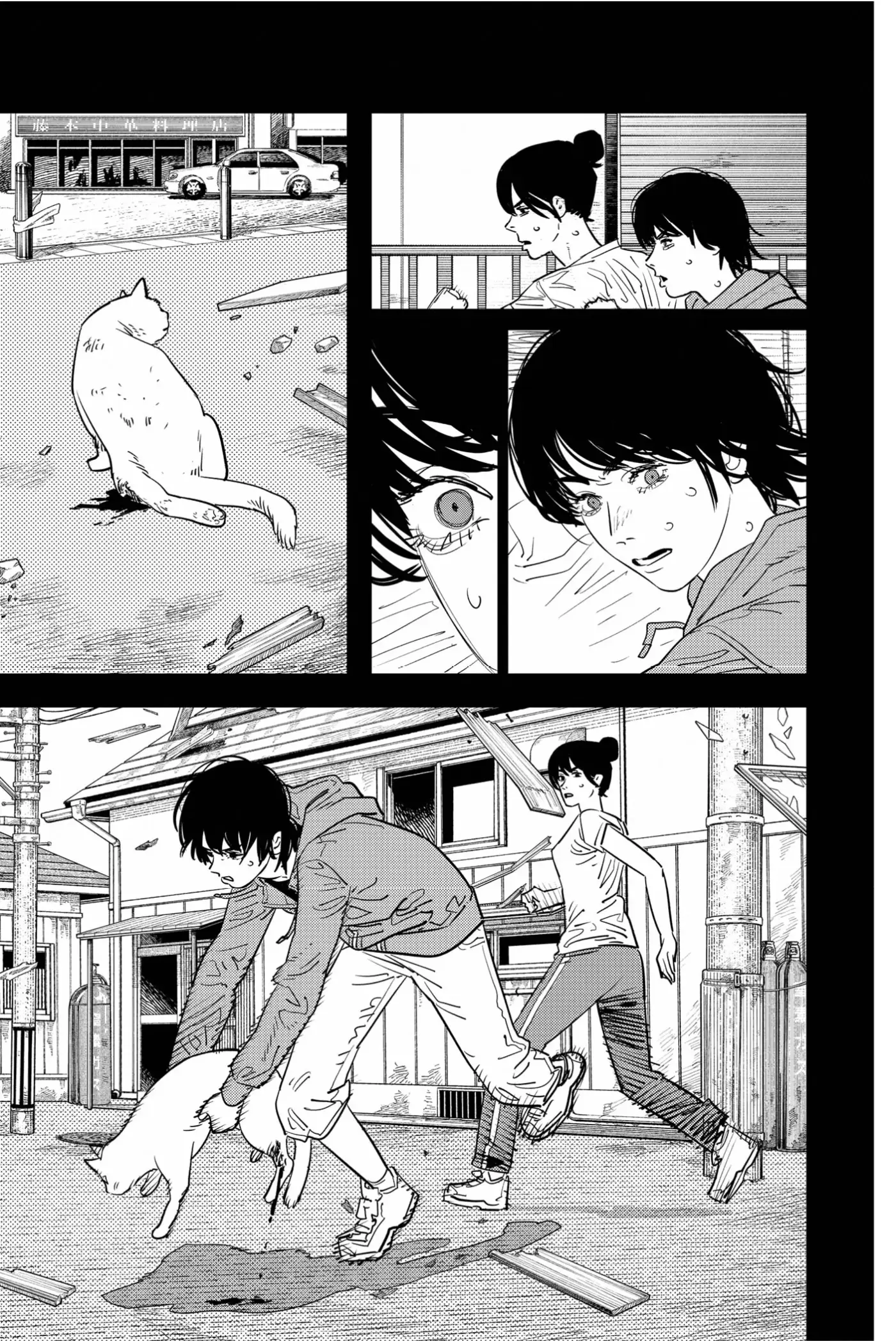 Chainsaw Man capítulo 102, página 15
