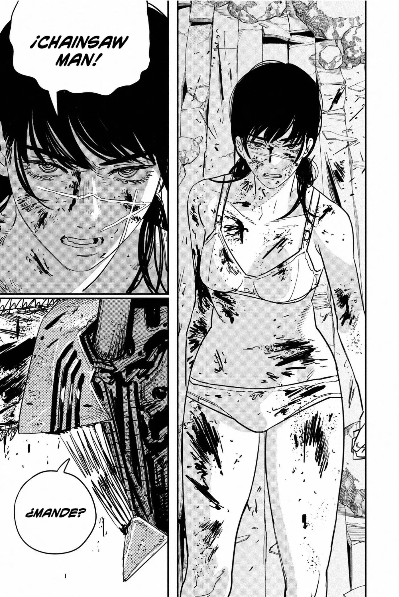 Chainsaw Man capítulo 109, página 14