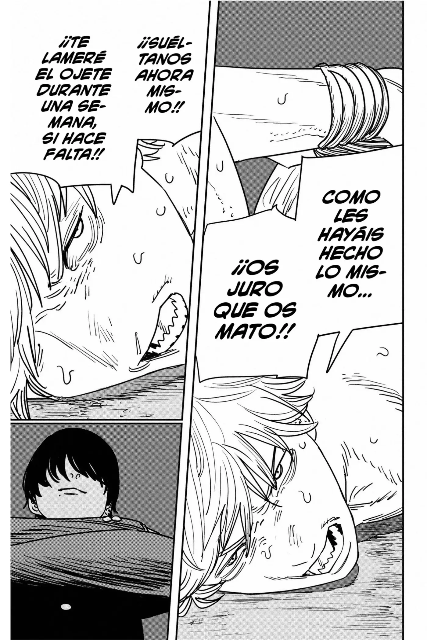Chainsaw Man capítulo 132, página 14