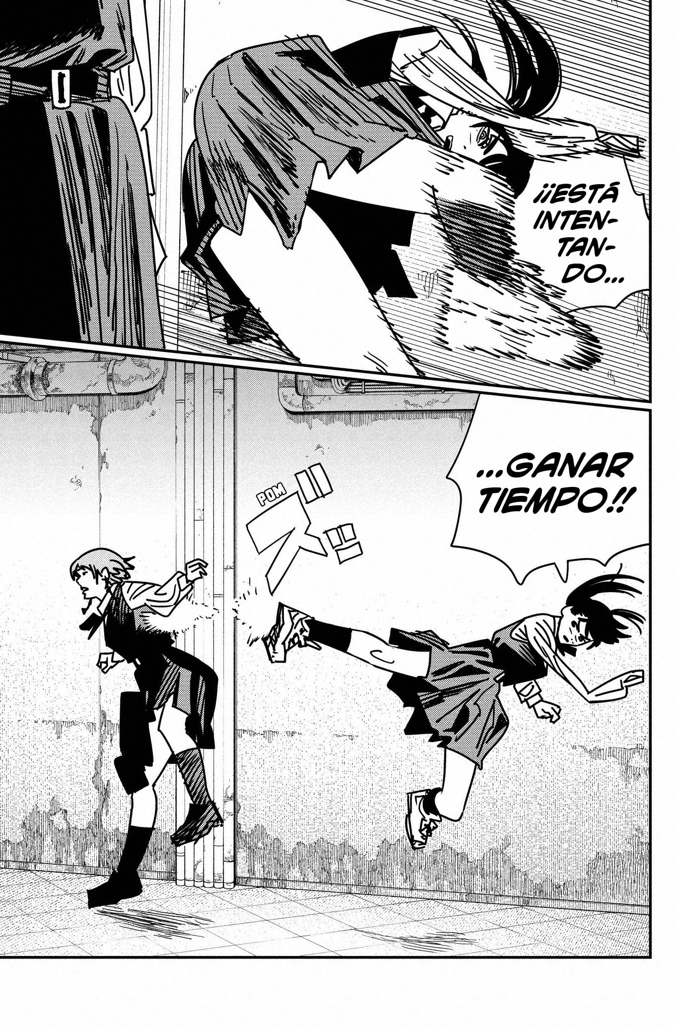 Chainsaw Man capítulo 159, página 10