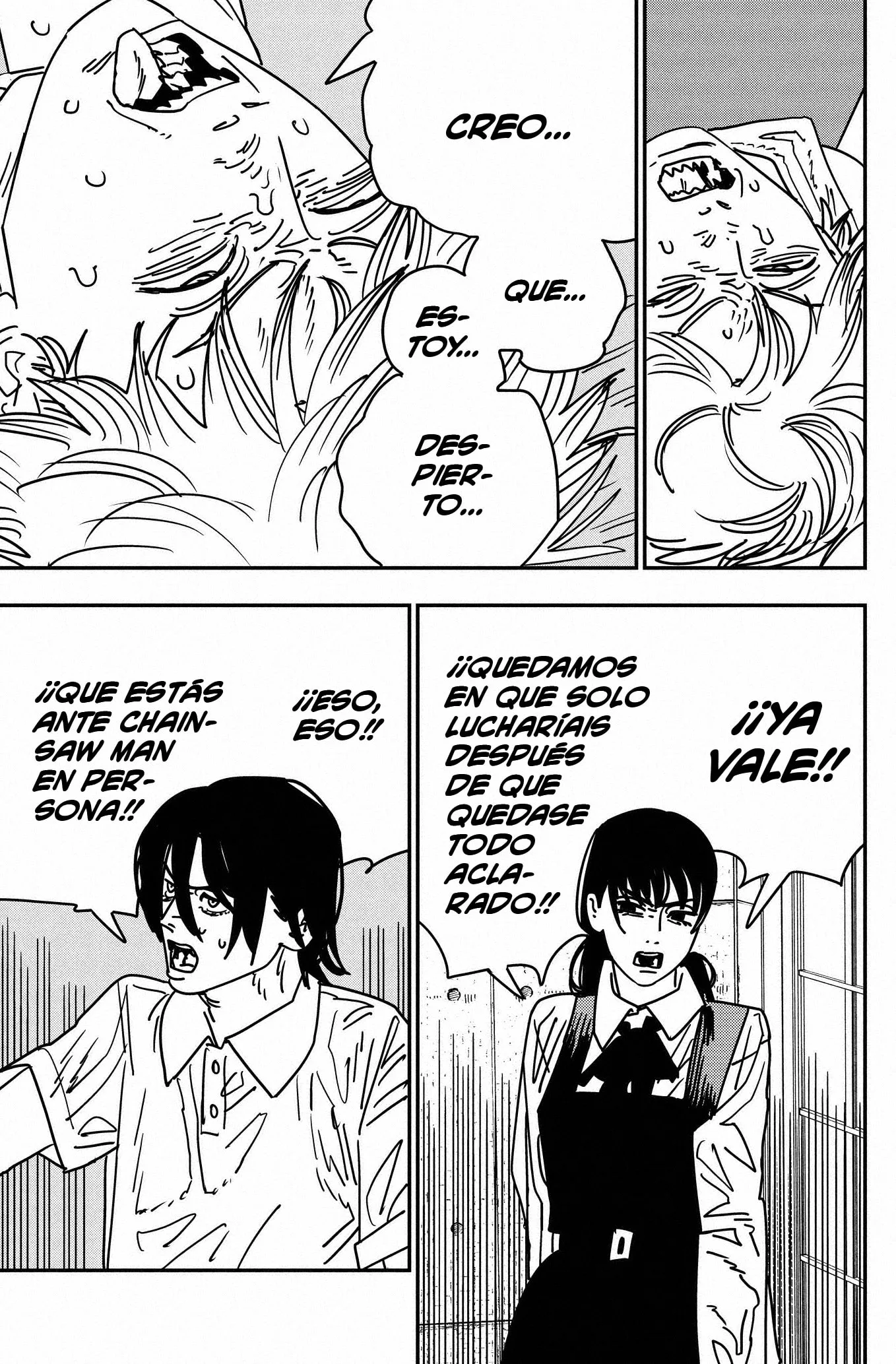 Chainsaw Man capítulo 163, página 15