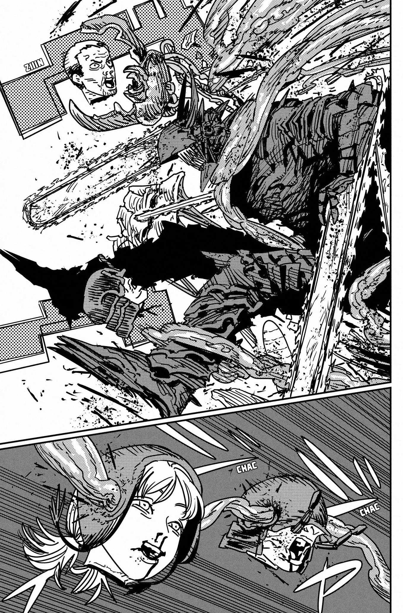 Chainsaw Man capítulo 172, página 11