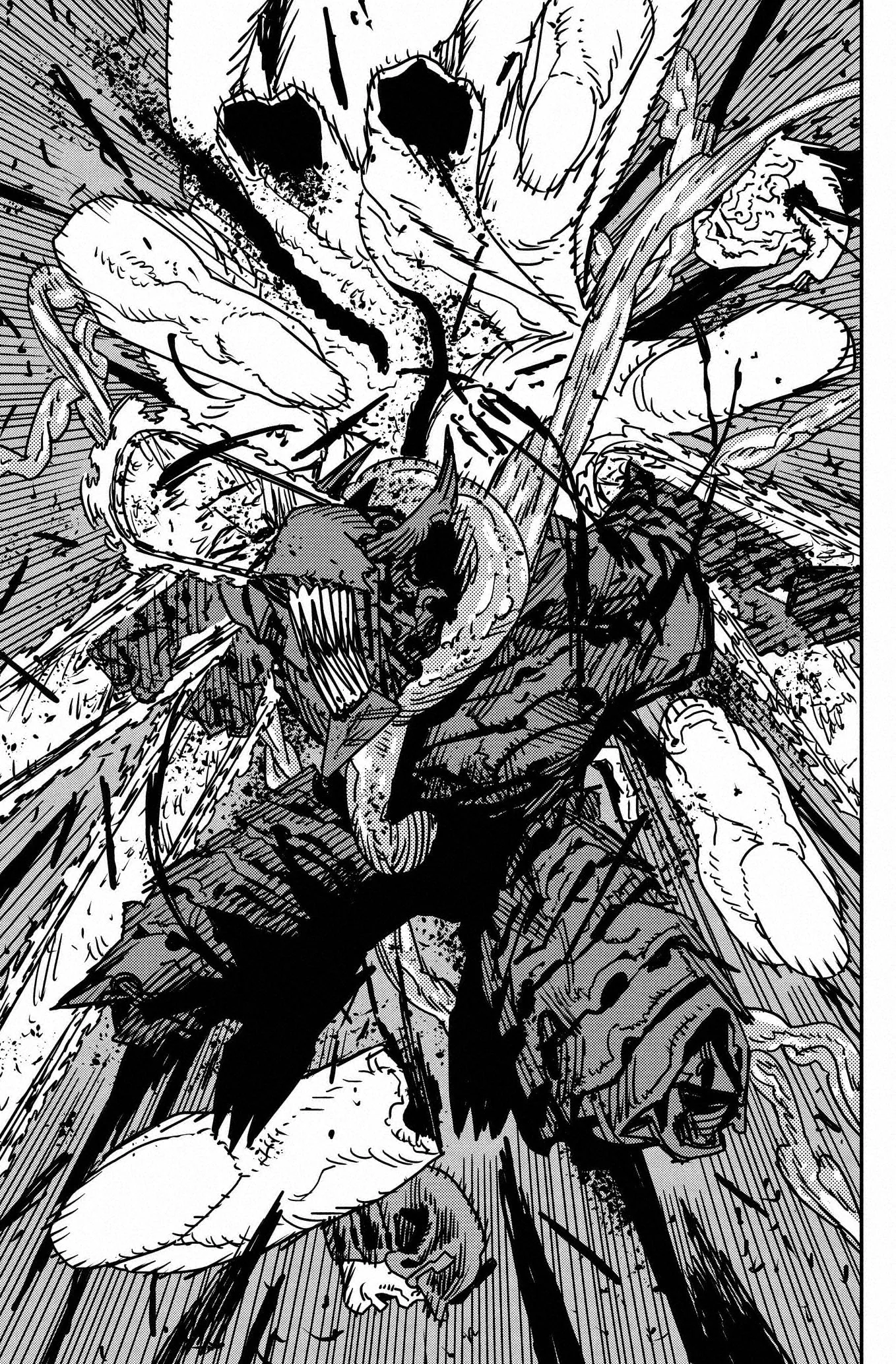 Chainsaw Man capítulo 173, página 12
