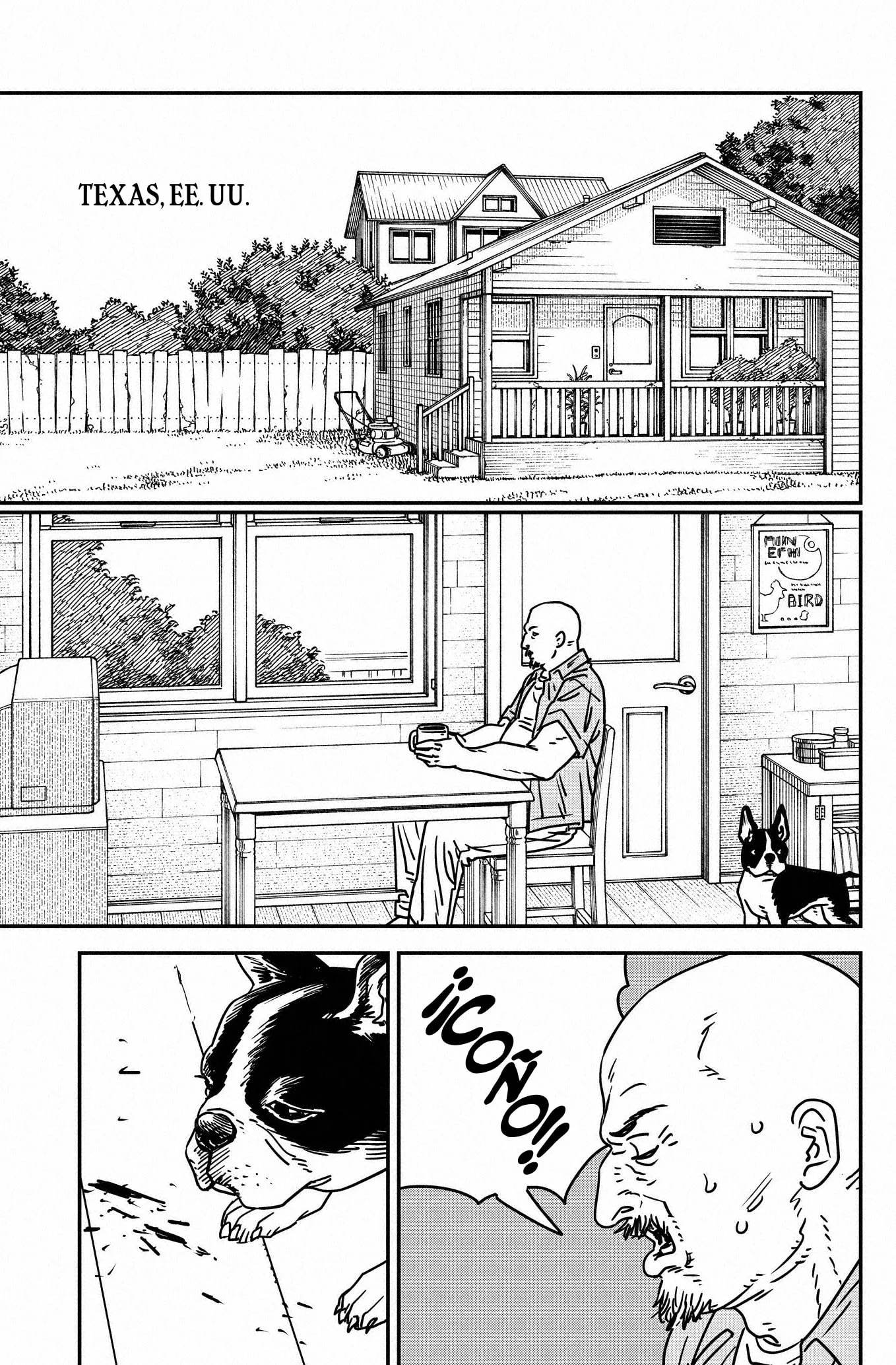 Chainsaw Man capítulo 177, página 13