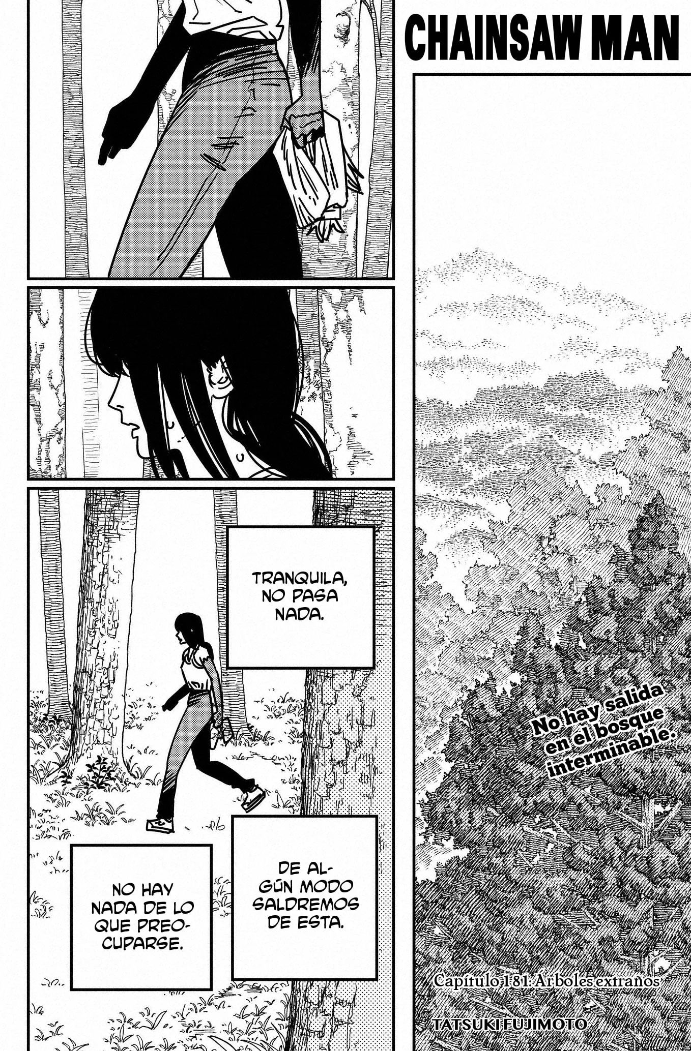 Chainsaw Man capítulo 181, página 1