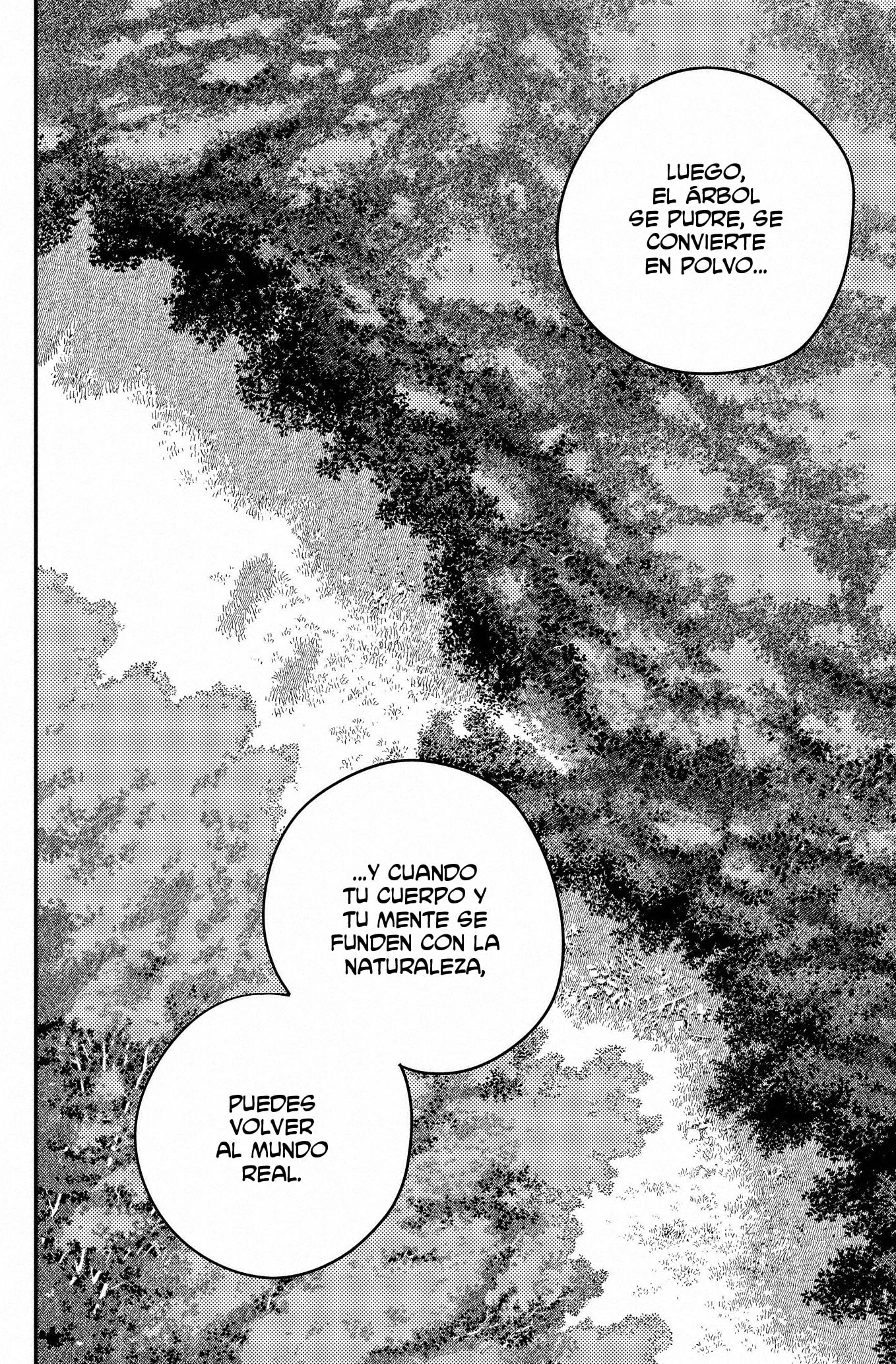 Chainsaw Man capítulo 181, página 11
