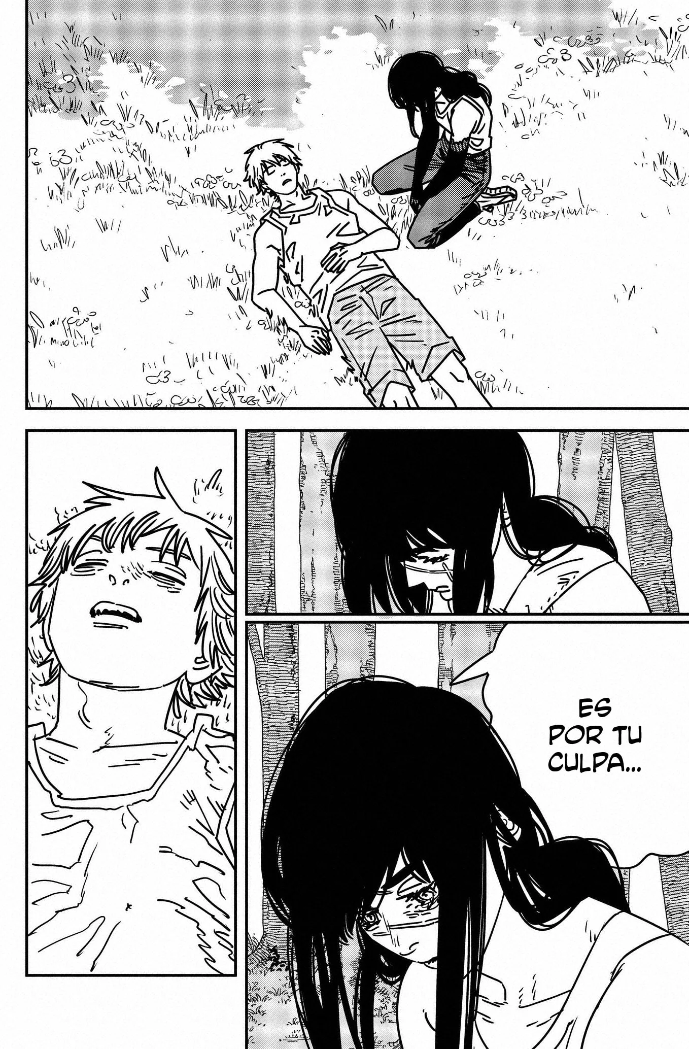 Chainsaw Man capítulo 181, página 13