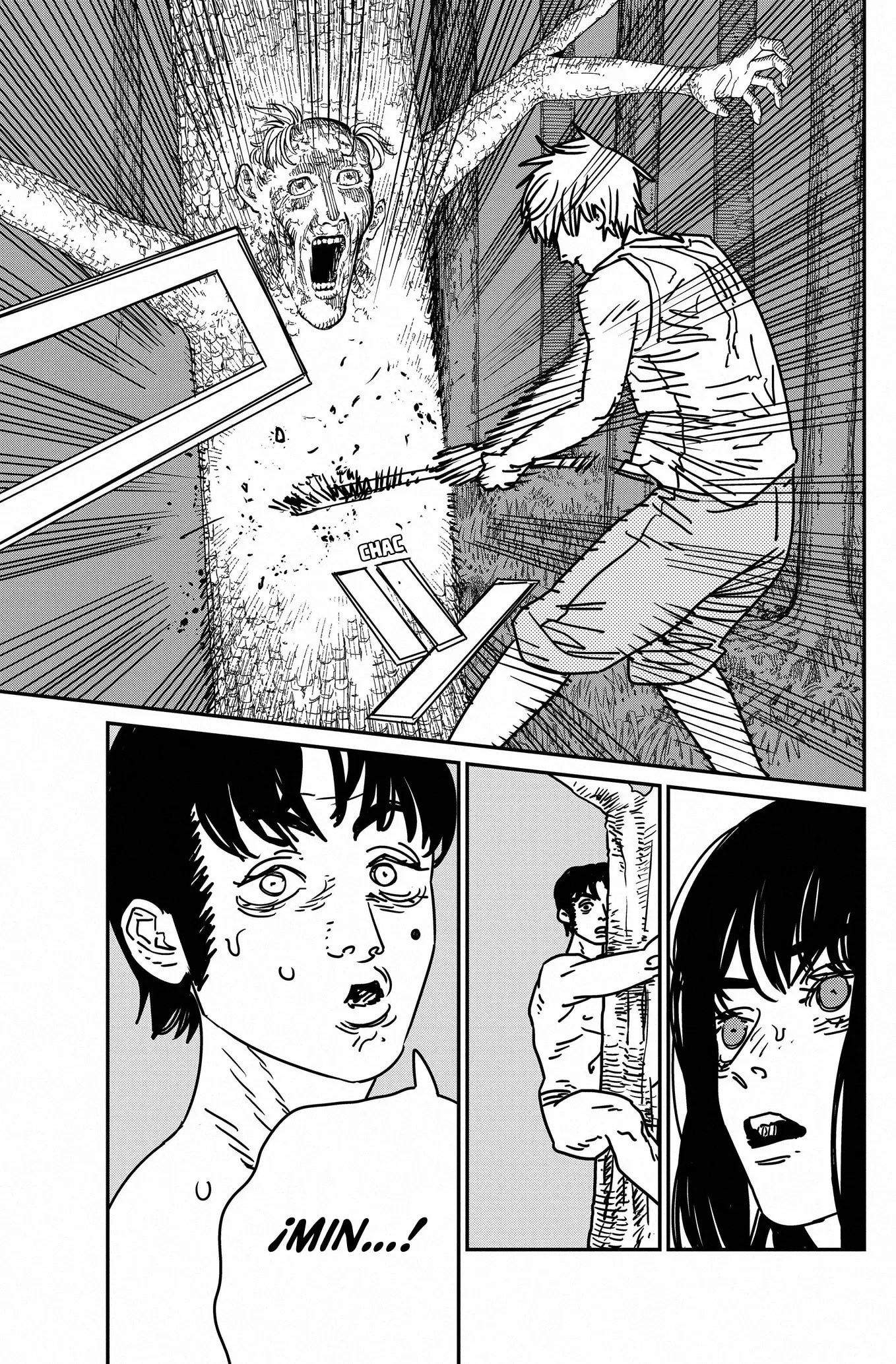 Chainsaw Man capítulo 185, página 8