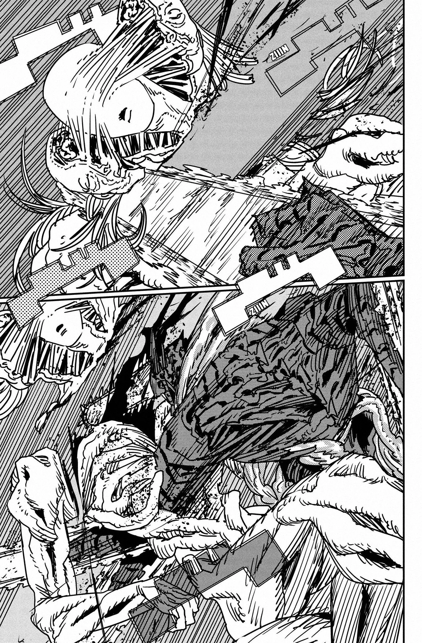 Chainsaw Man capítulo 187, página 11