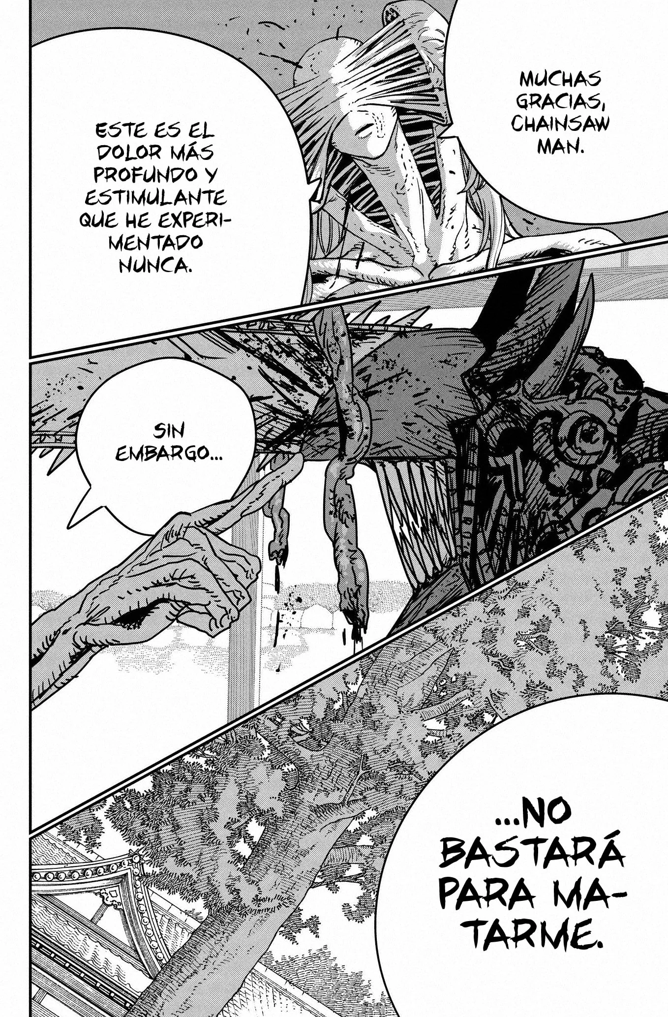 Chainsaw Man capítulo 187, página 13