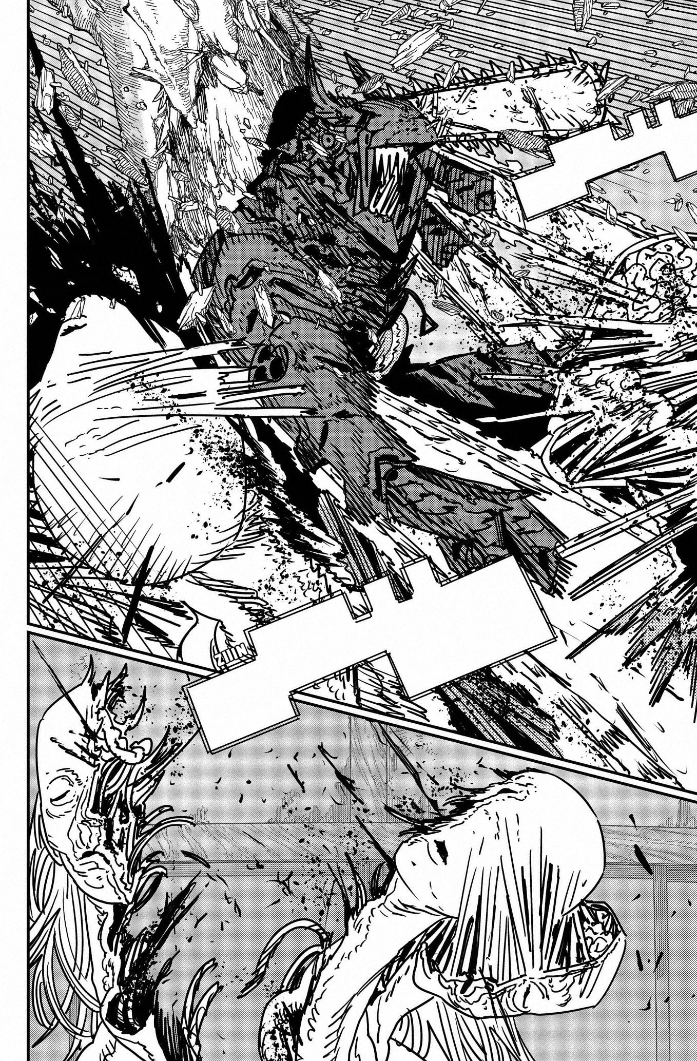 Chainsaw Man capítulo 187, página 19