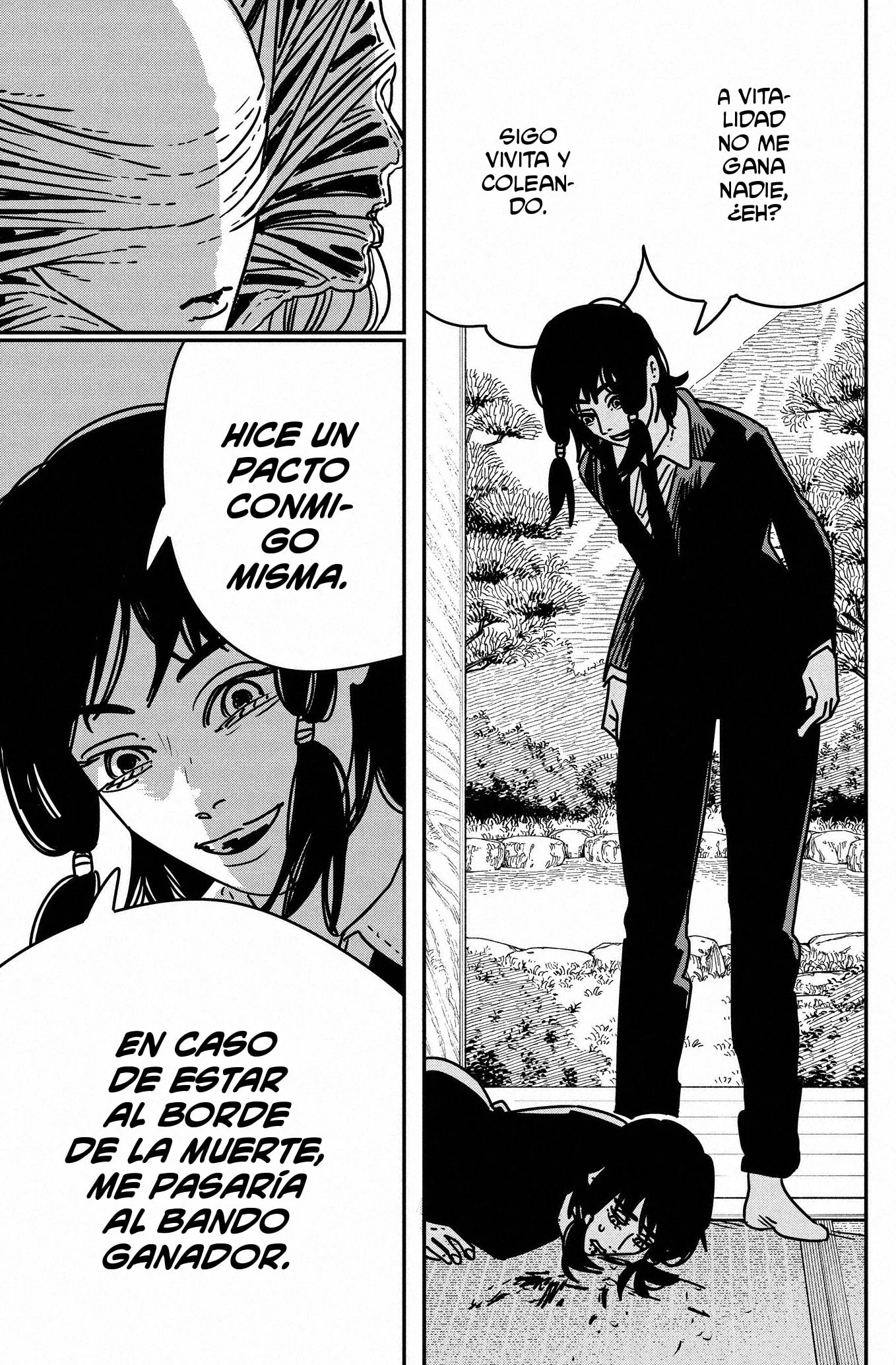 Chainsaw Man capítulo 189, página 13