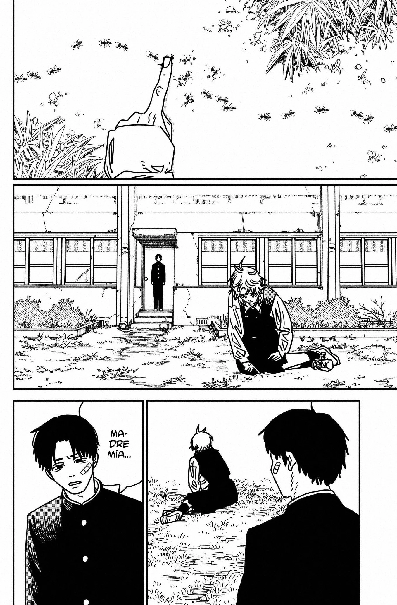 Chainsaw Man capítulo 196, página 7
