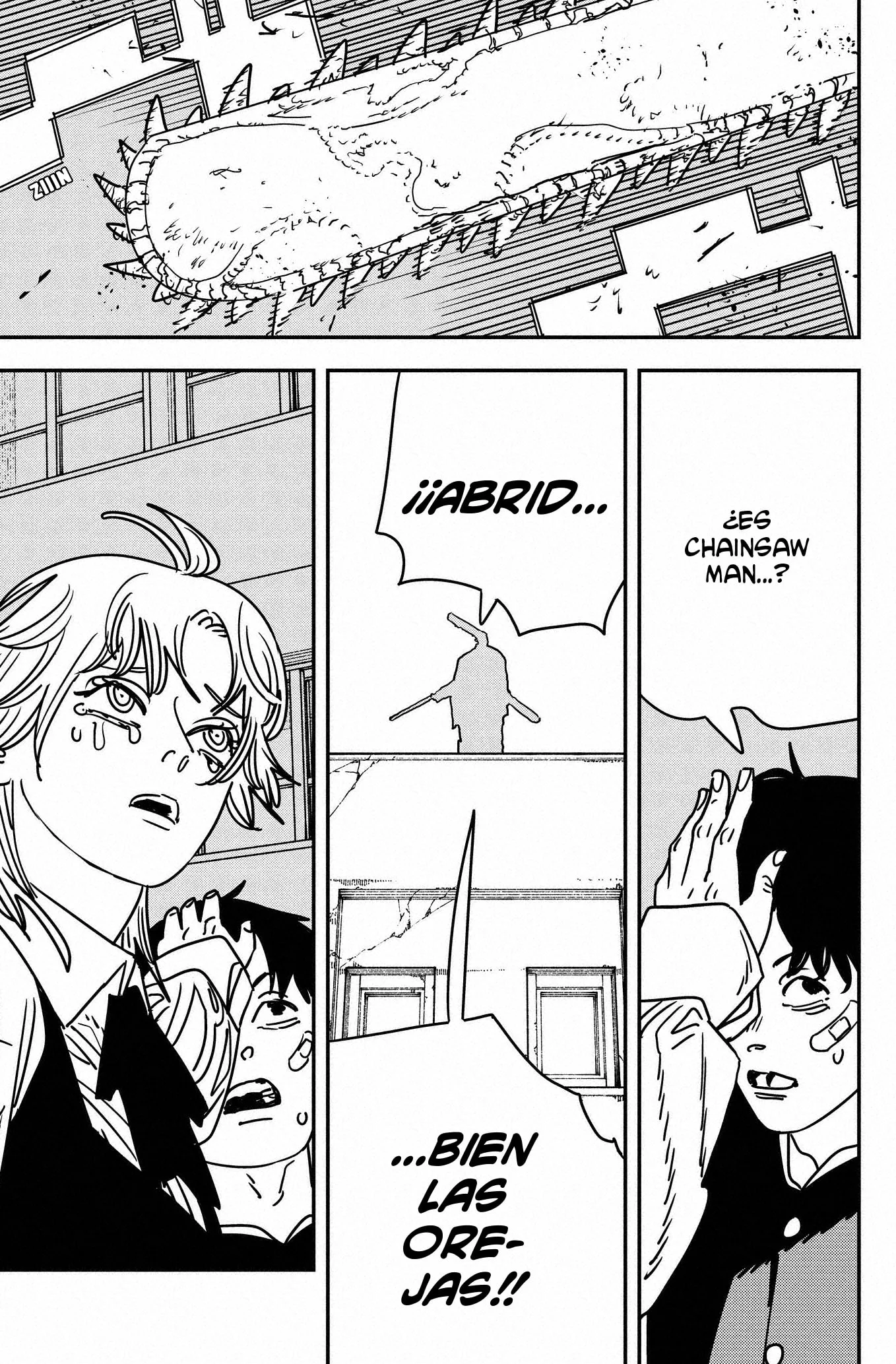Chainsaw Man capítulo 196, página 12