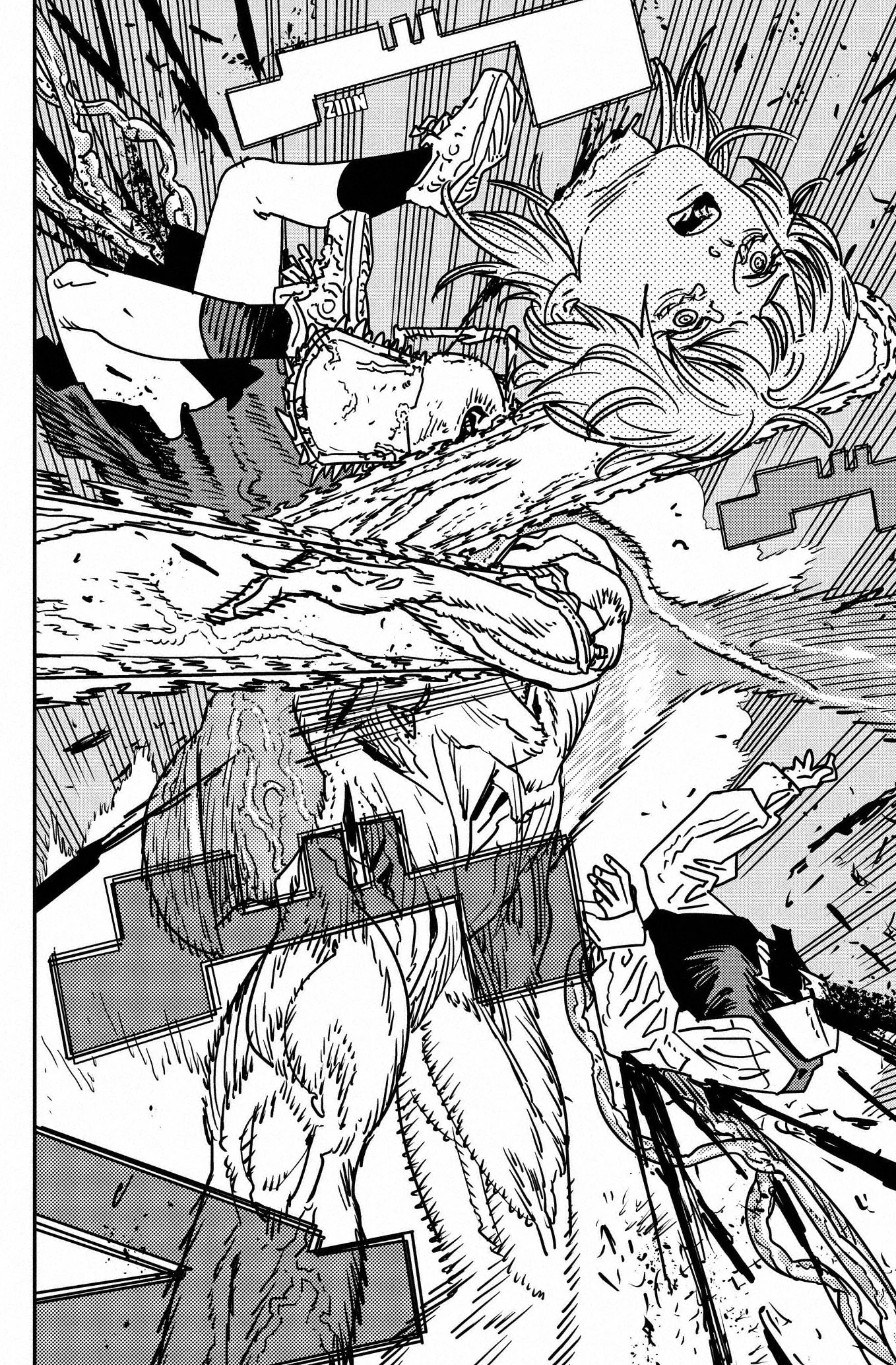 Chainsaw Man capítulo 197, página 13