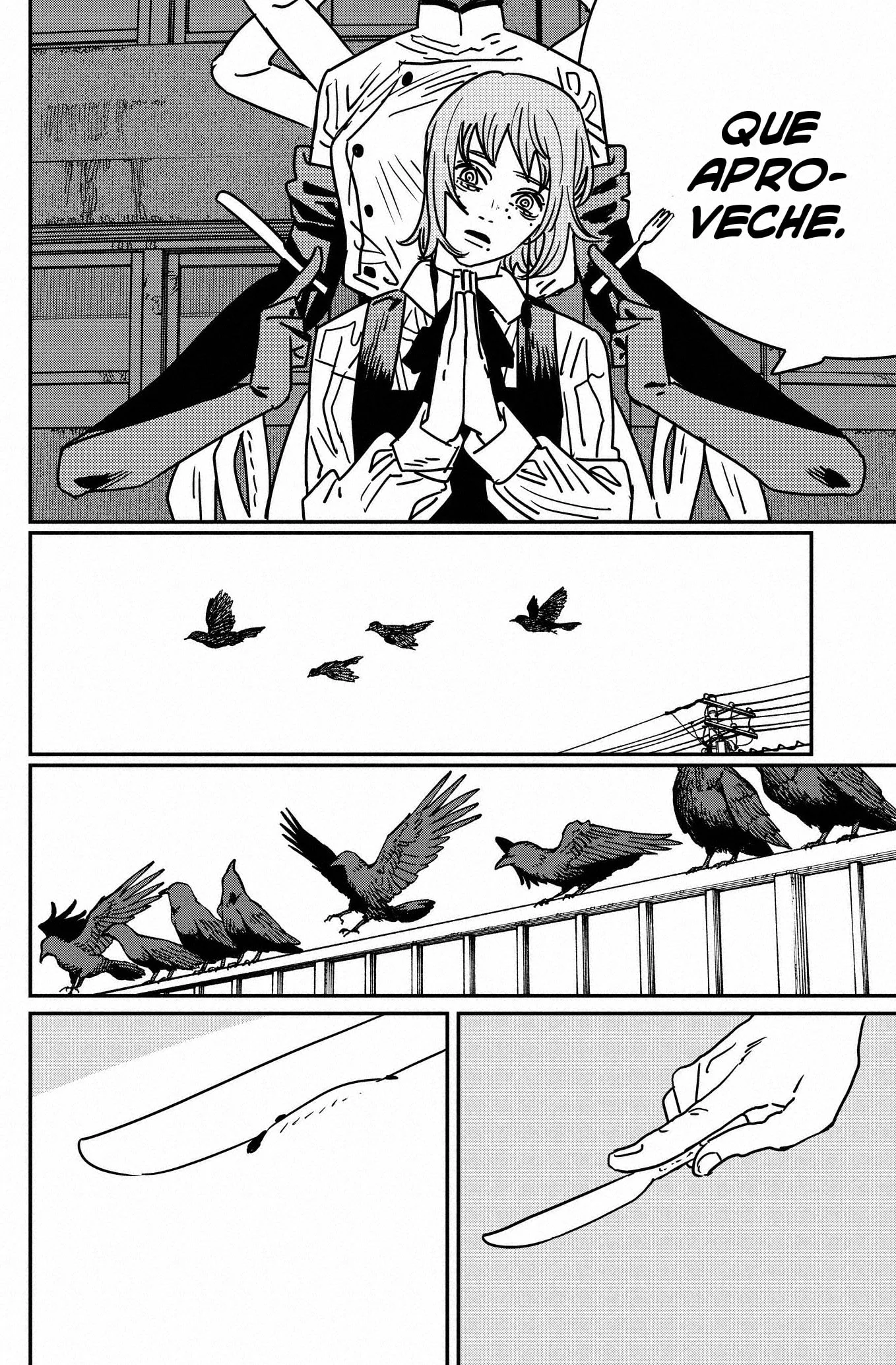 Chainsaw Man capítulo 199, página 12