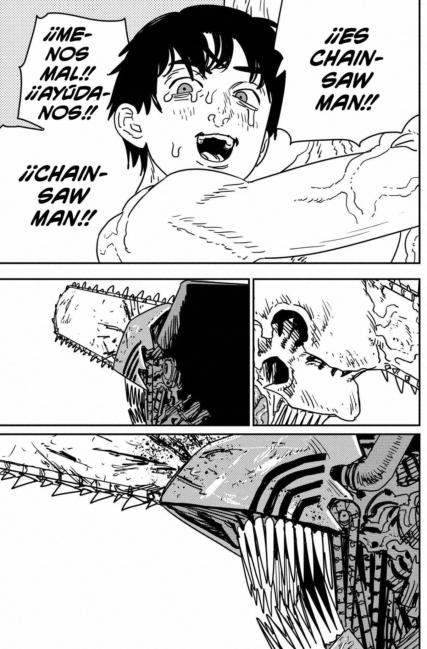 Chainsaw Man capítulo 202, página 13