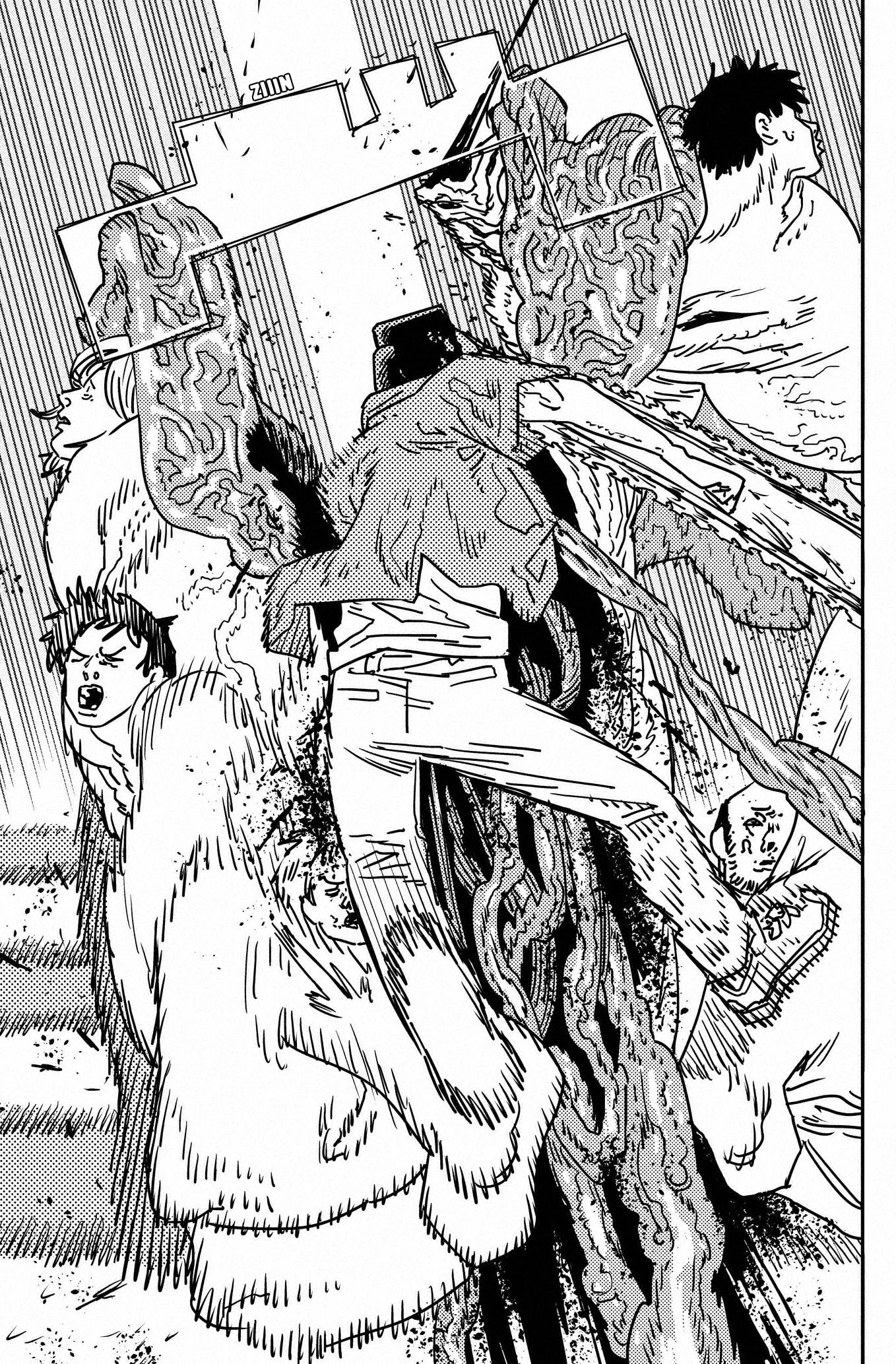 Chainsaw Man capítulo 204, página 9