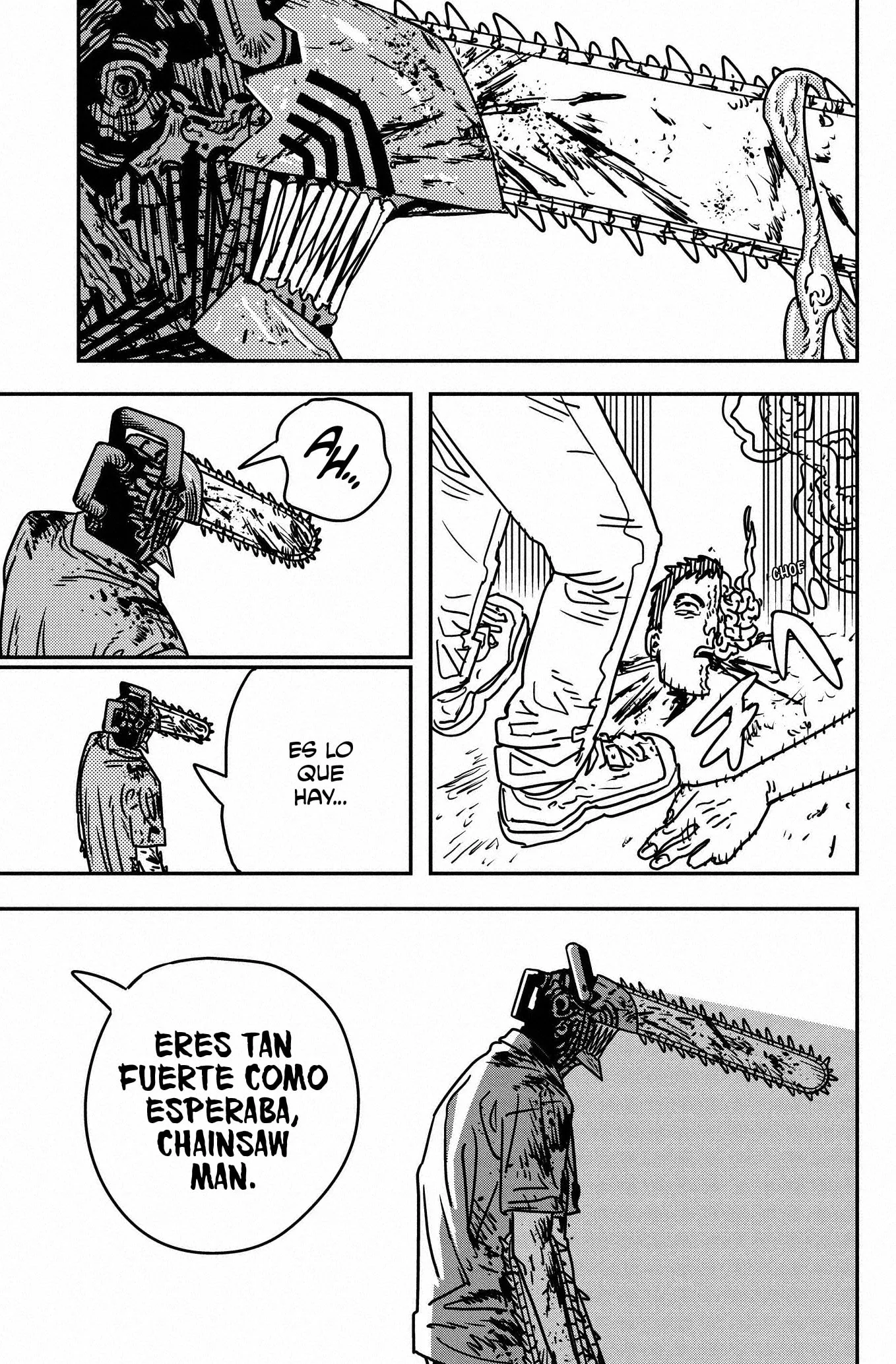 Chainsaw Man capítulo 204, página 13