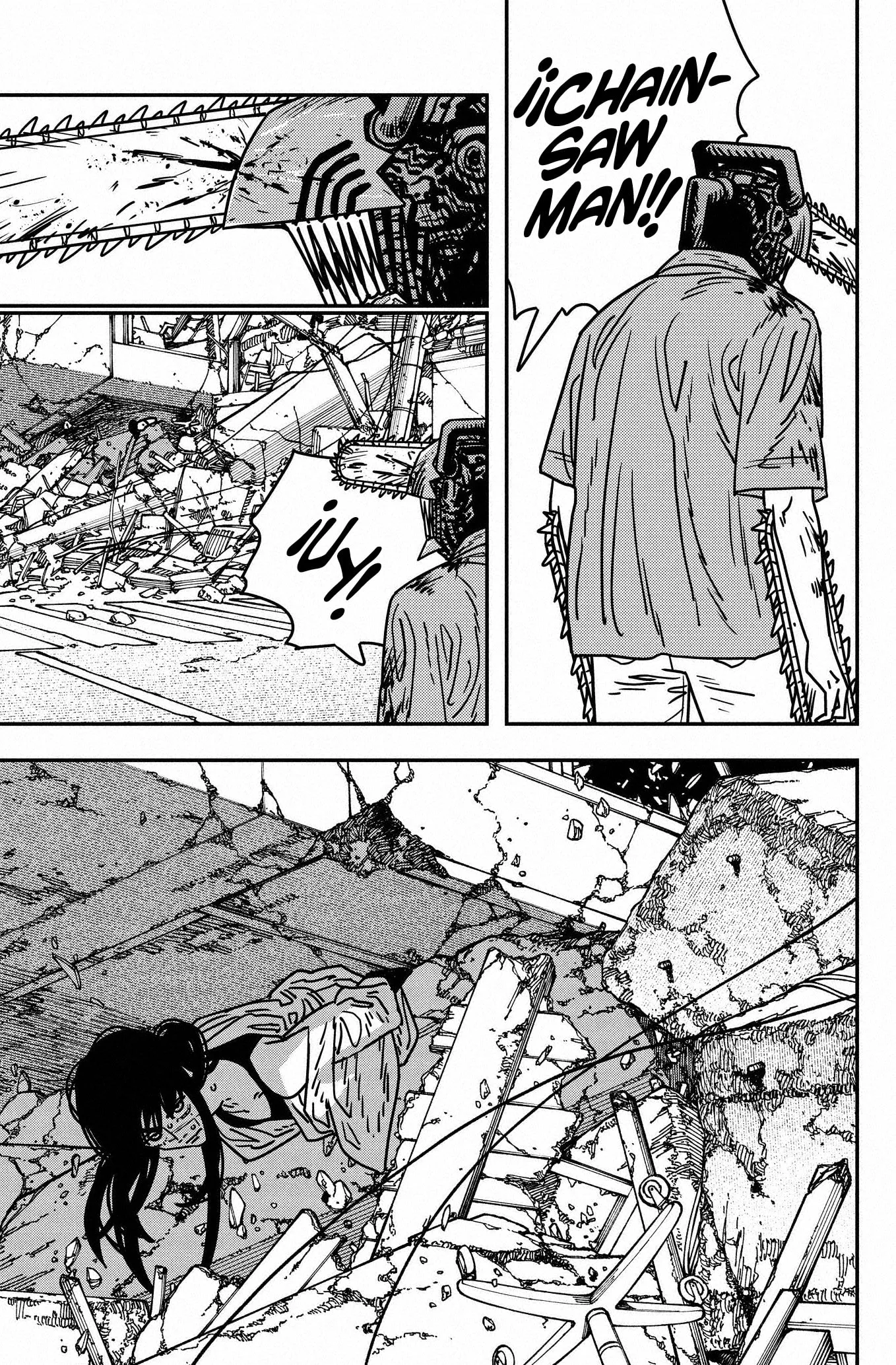 Chainsaw Man capítulo 205, página 12