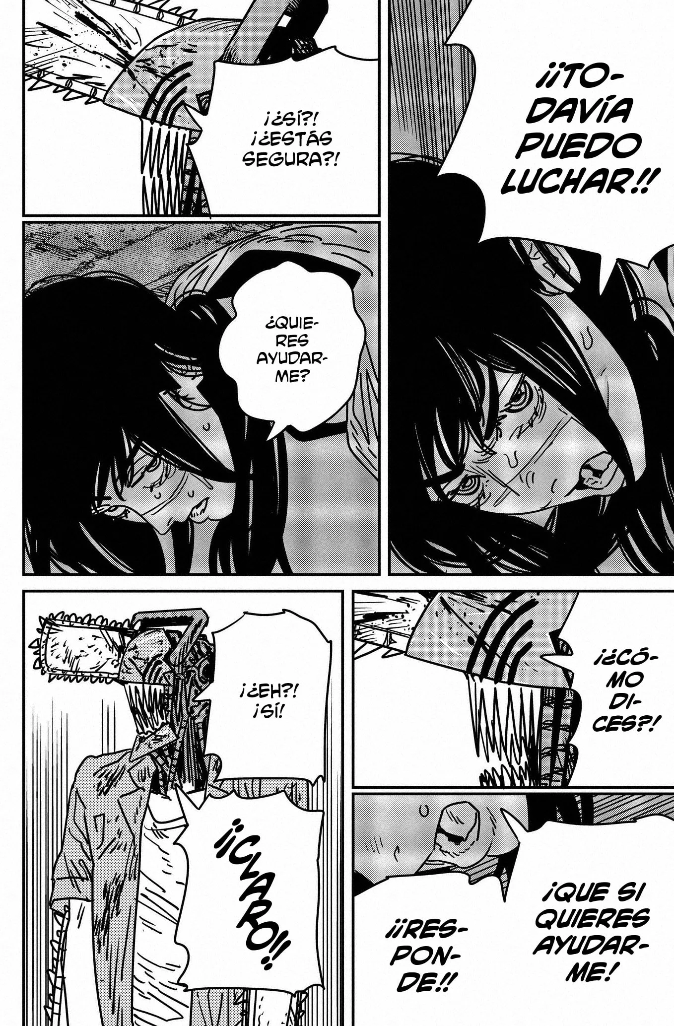 Chainsaw Man capítulo 205, página 13