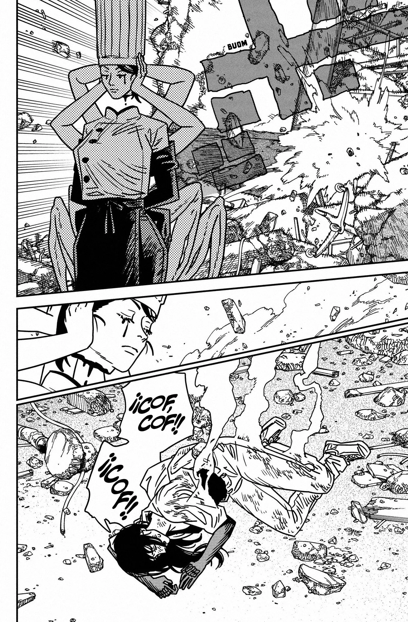 Chainsaw Man capítulo 206, página 12