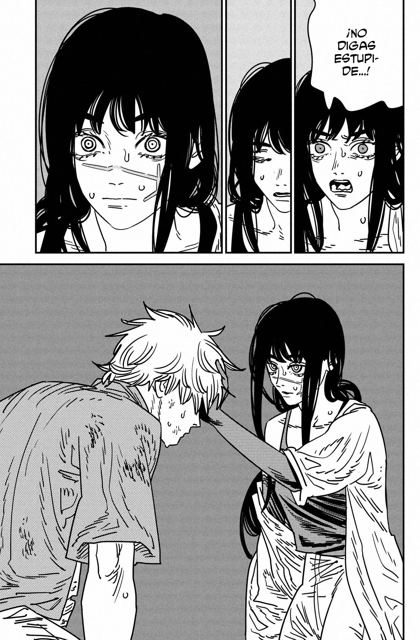 Chainsaw Man capítulo 208, página 12